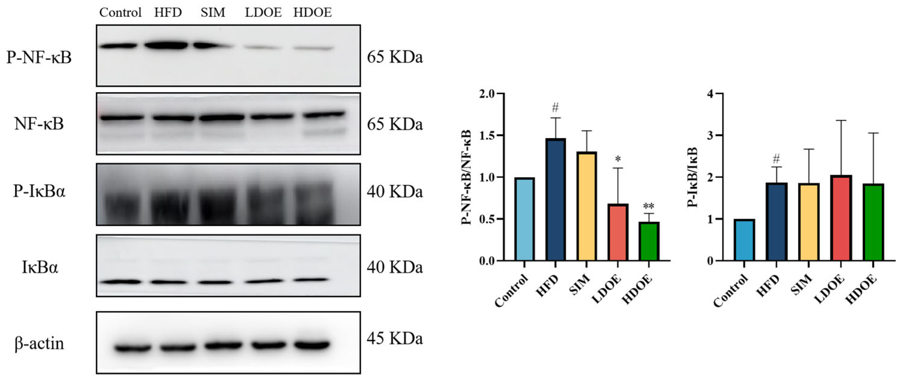 Antioxidants 14 00432 g004