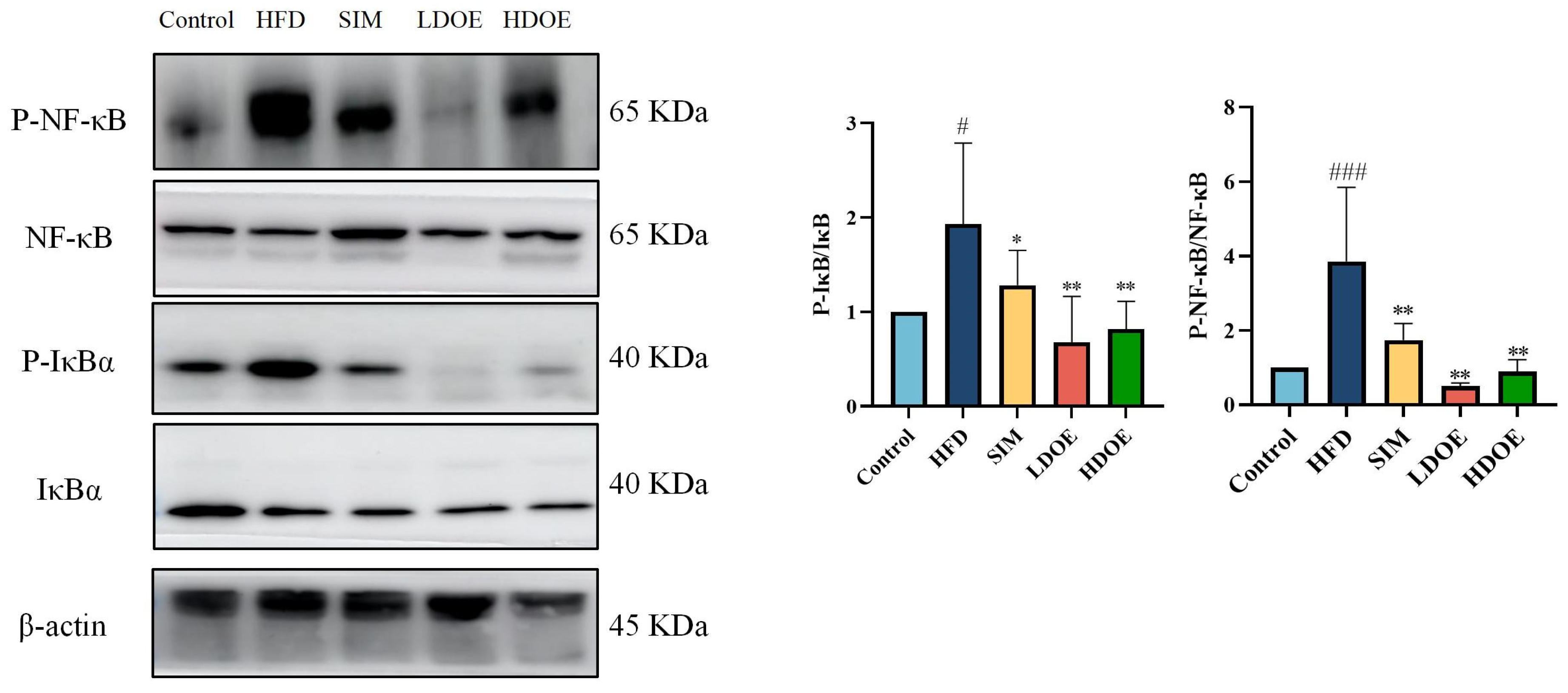 Antioxidants 14 00432 g007