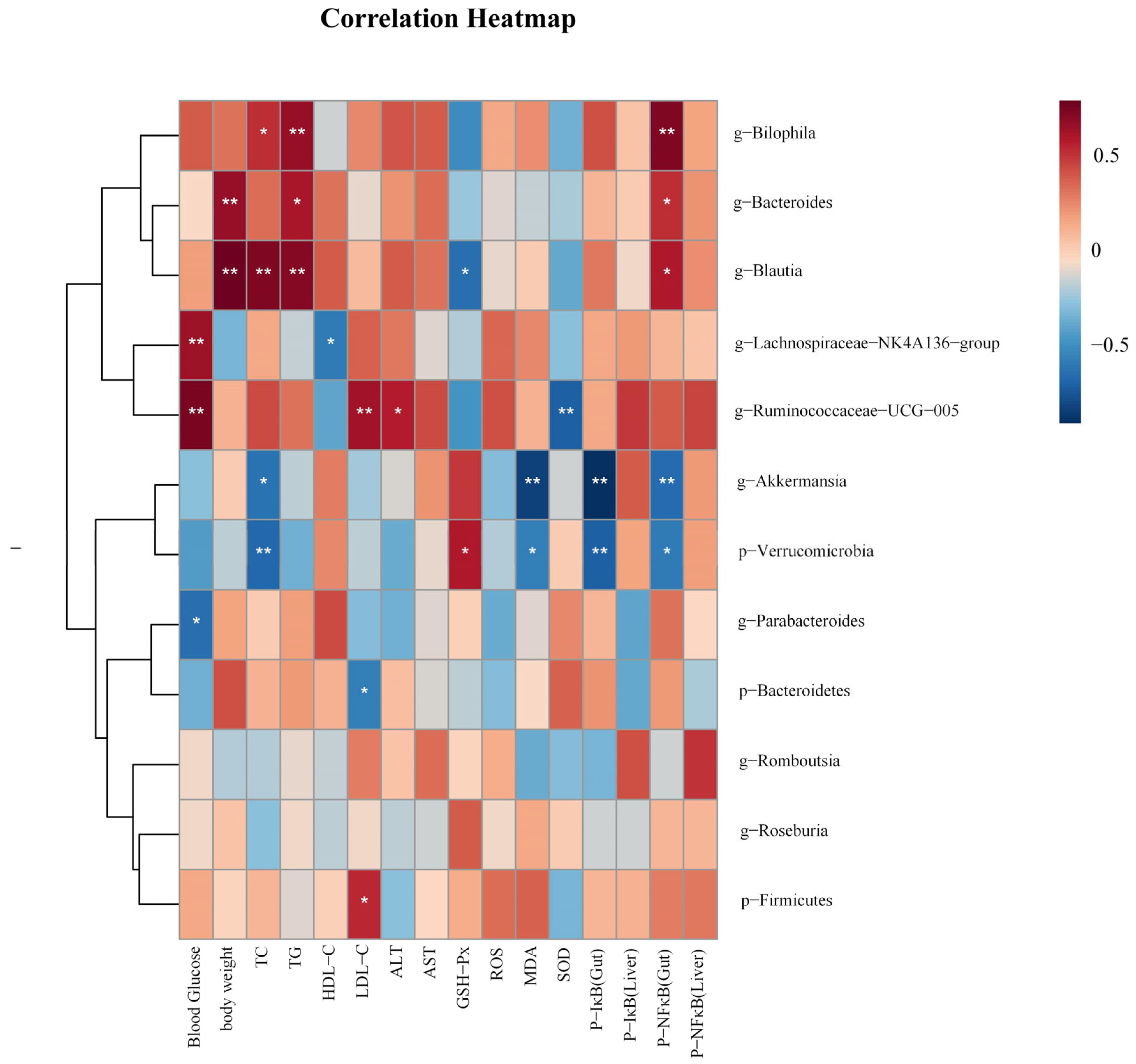 Antioxidants 14 00432 g008