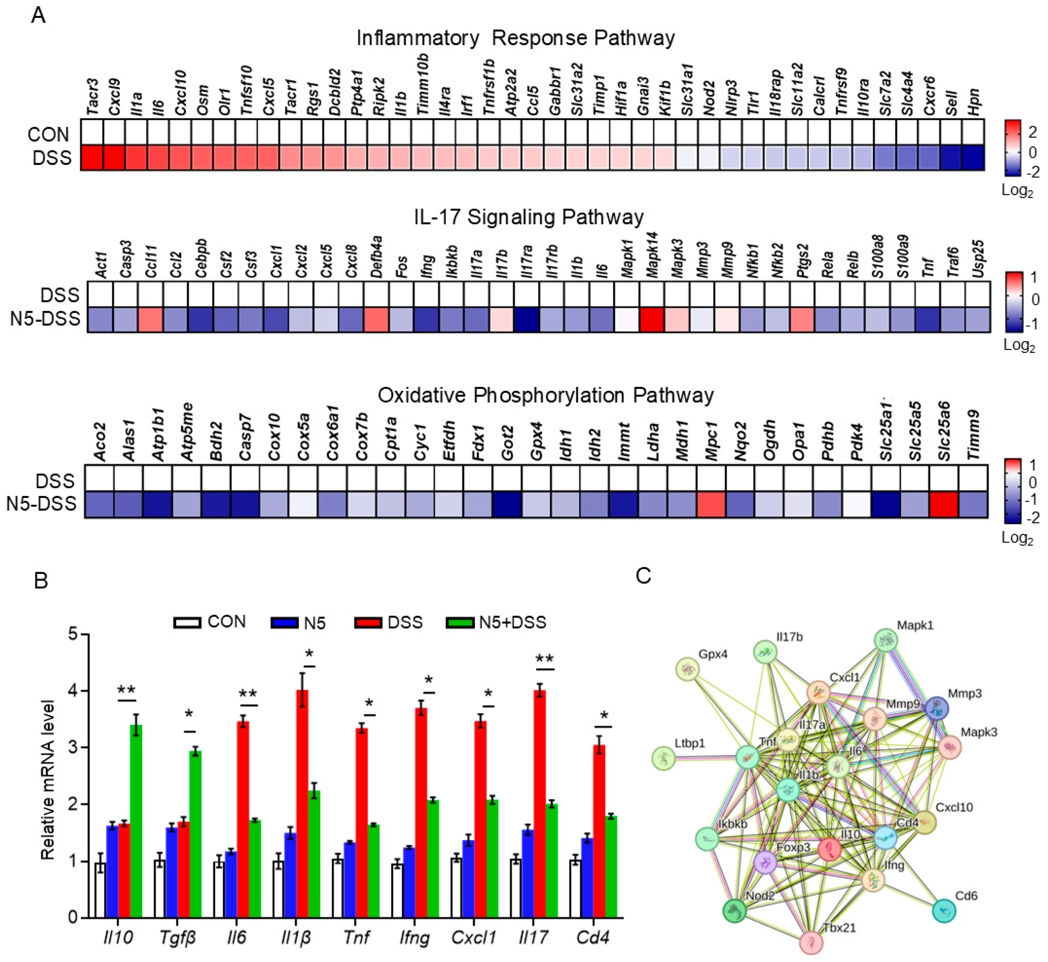 Antioxidants 14 00433 g004
