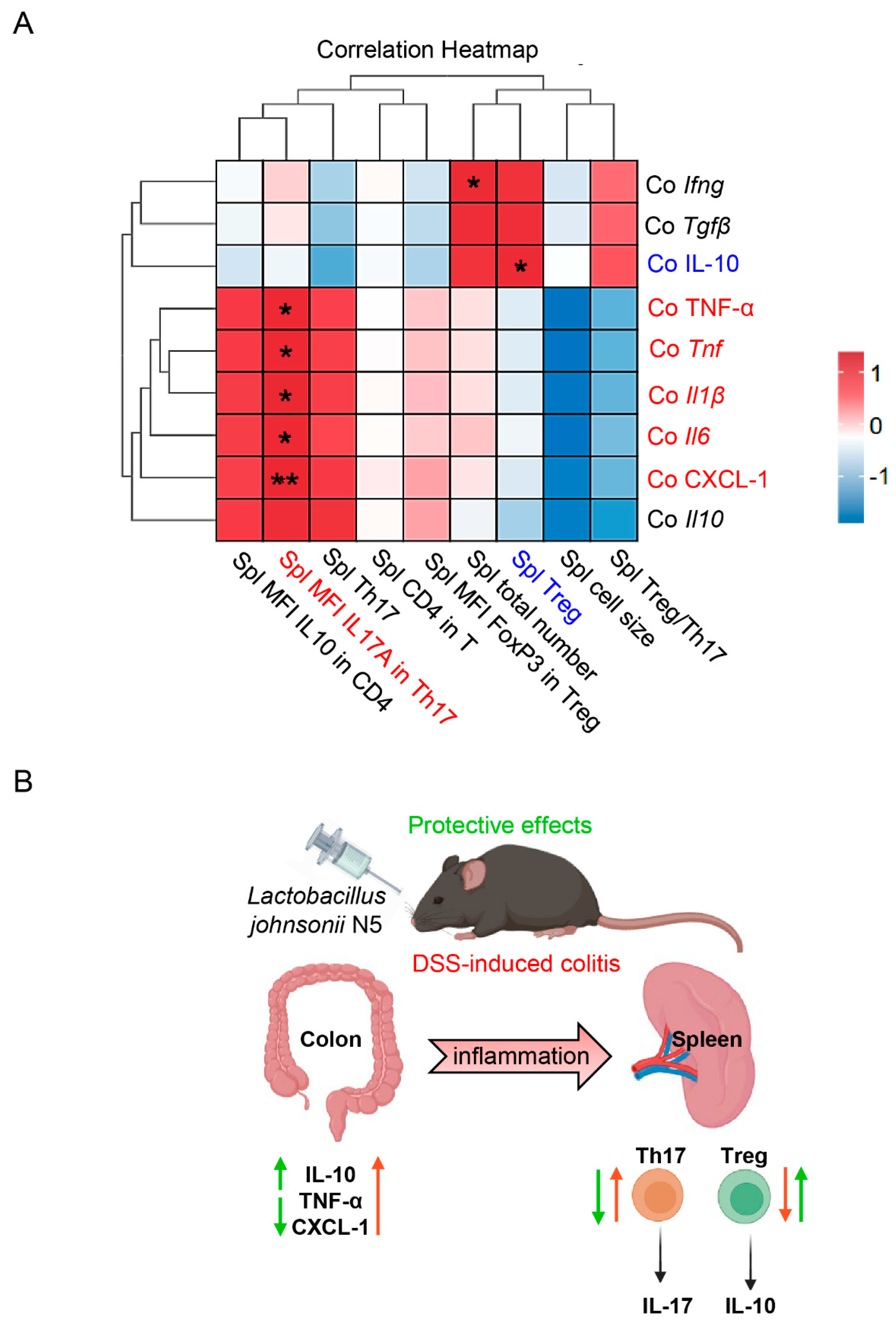 Antioxidants 14 00433 g006
