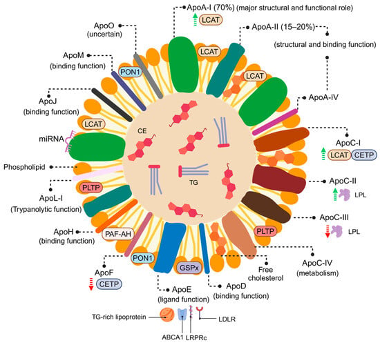 Antioxidants 14 00434 g002