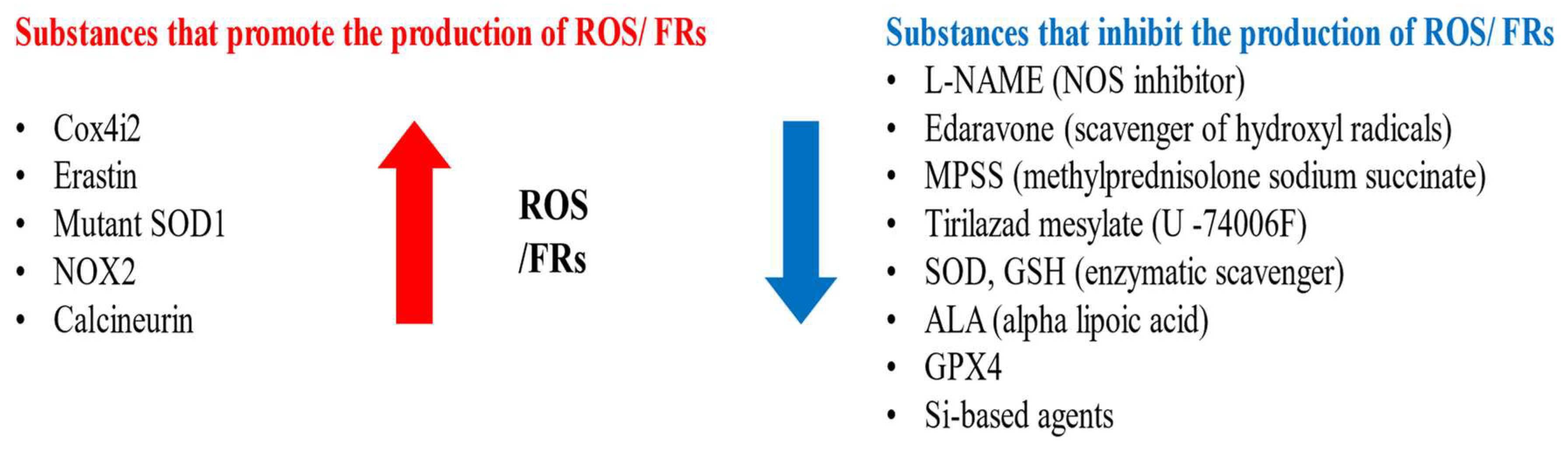 Antioxidants 14 00436 g002