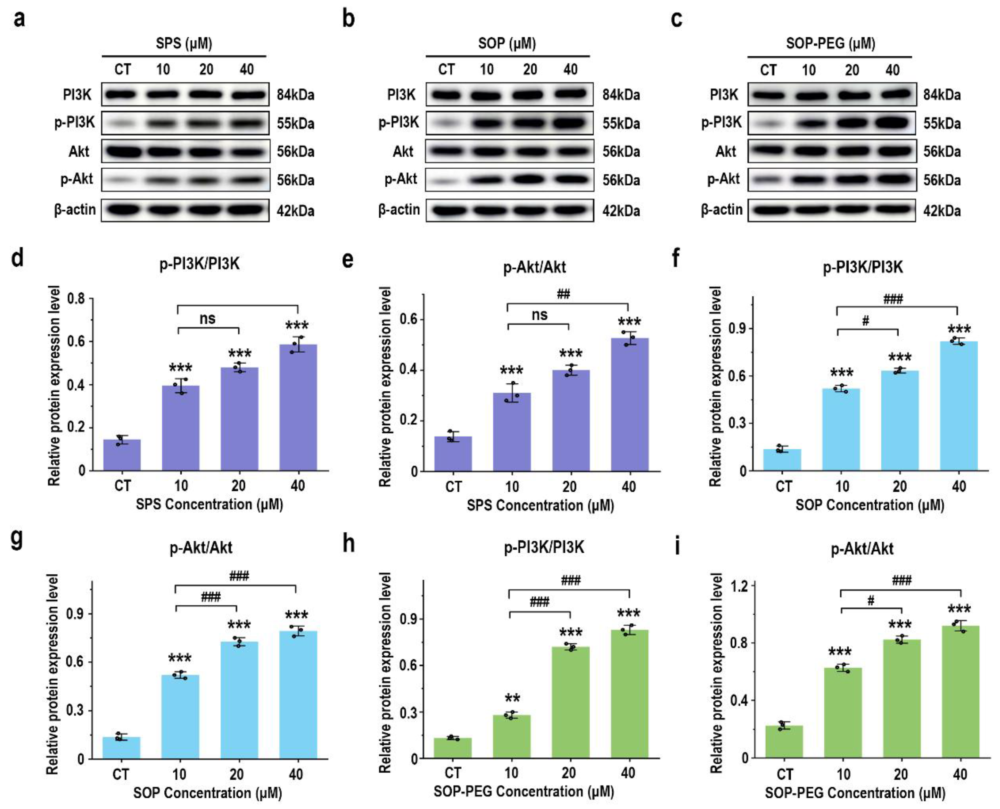 Antioxidants 14 00437 g006