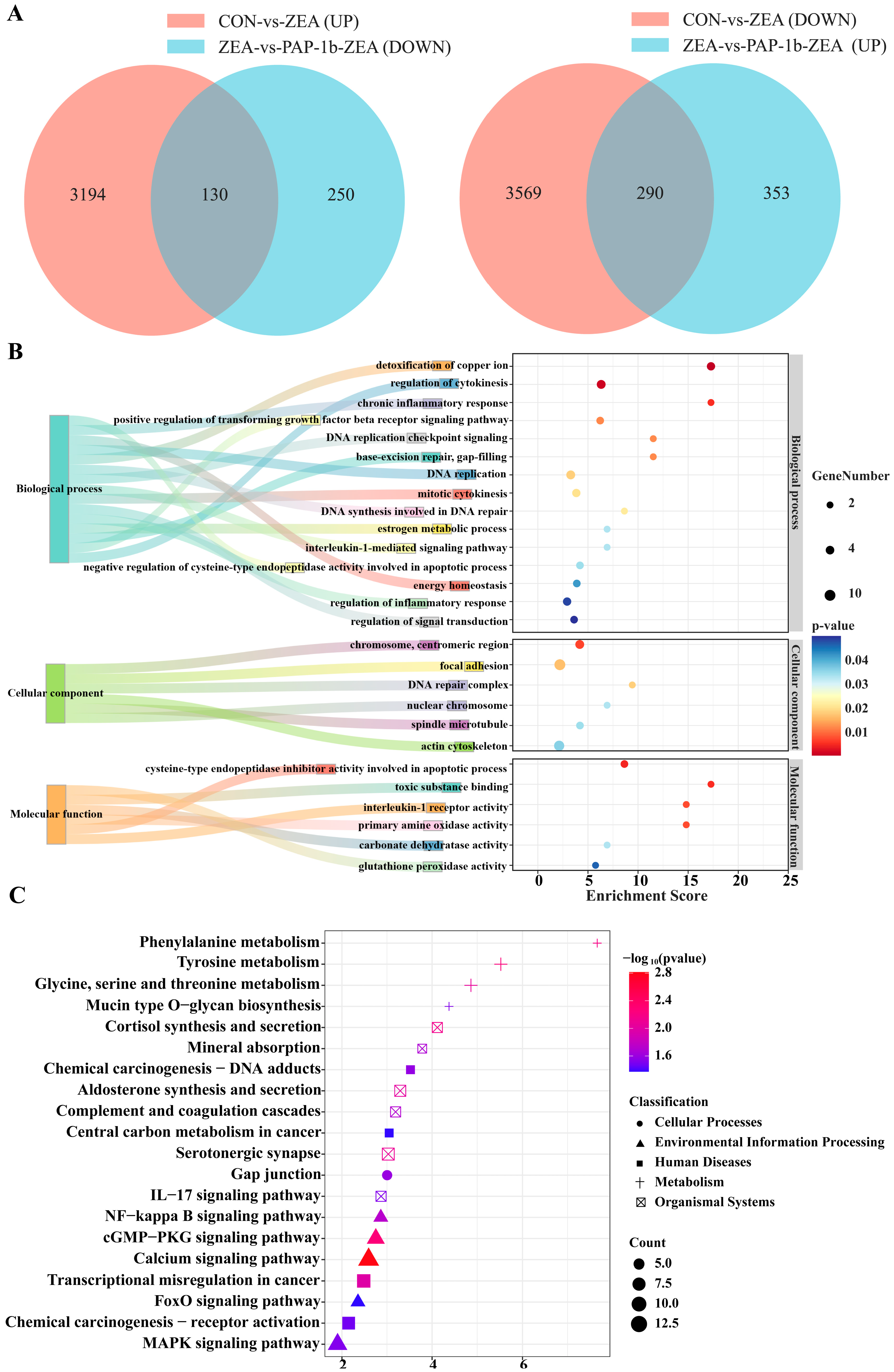 Antioxidants 14 00439 g005