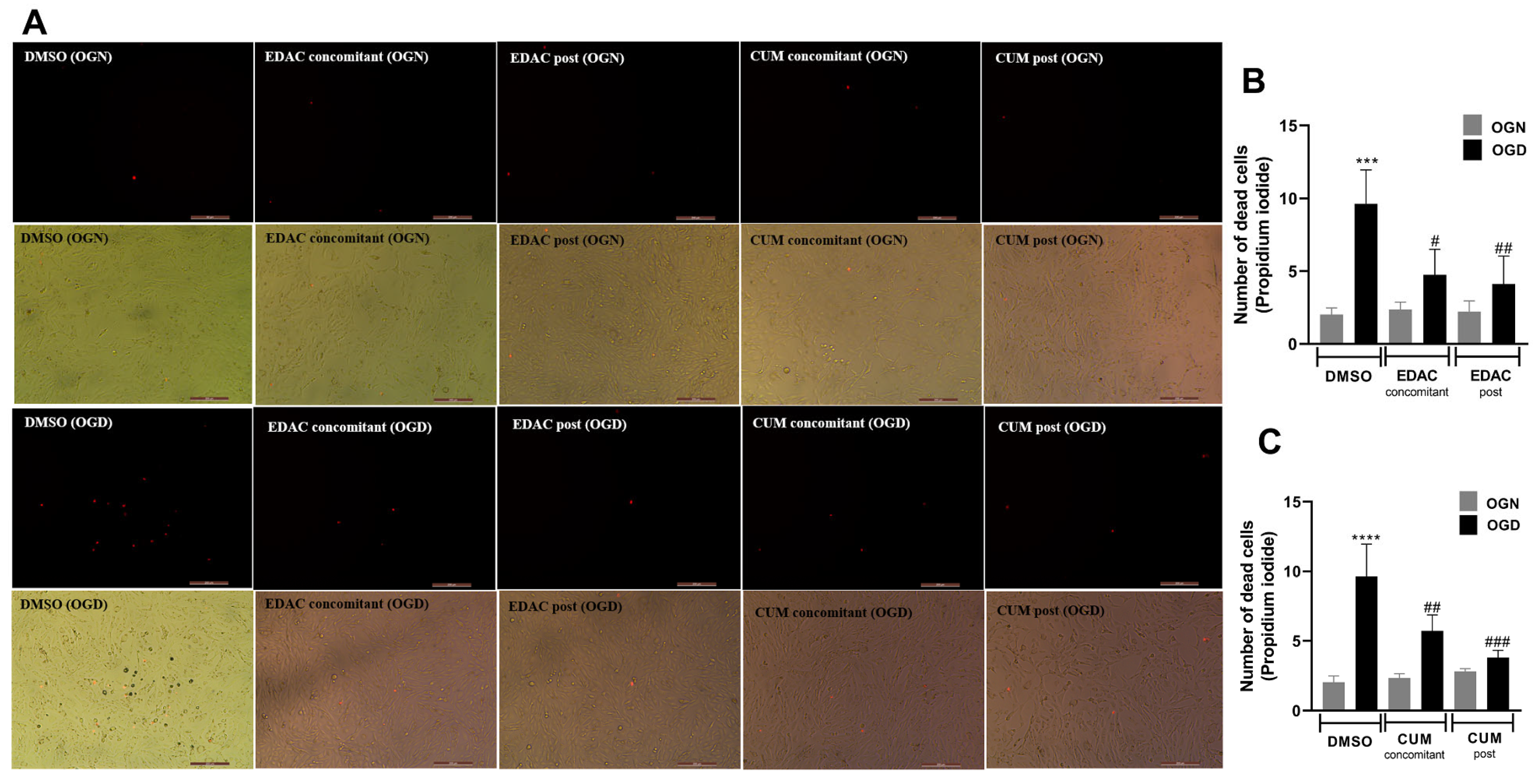 Antioxidants 14 00440 g002