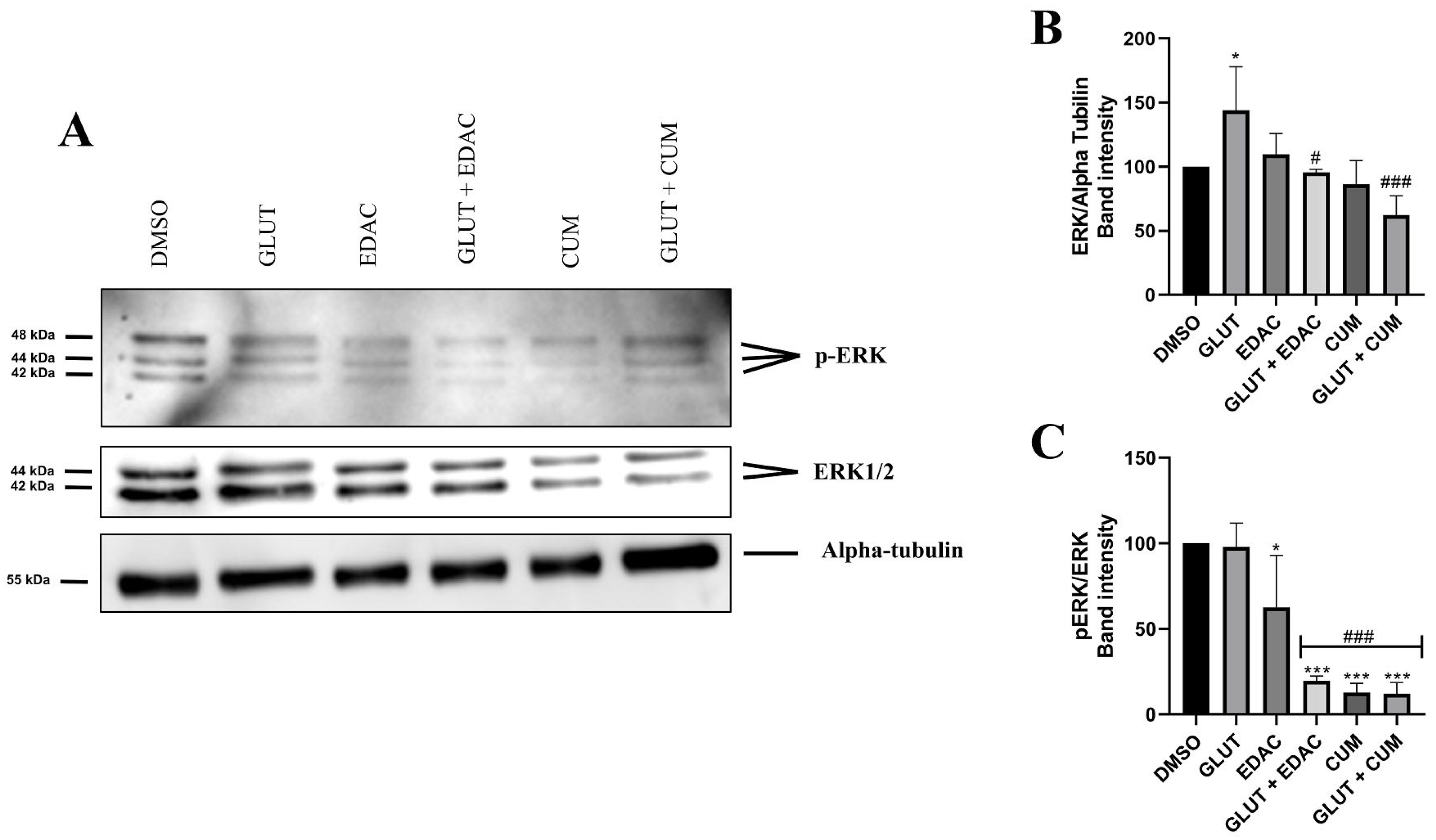 Antioxidants 14 00440 g005