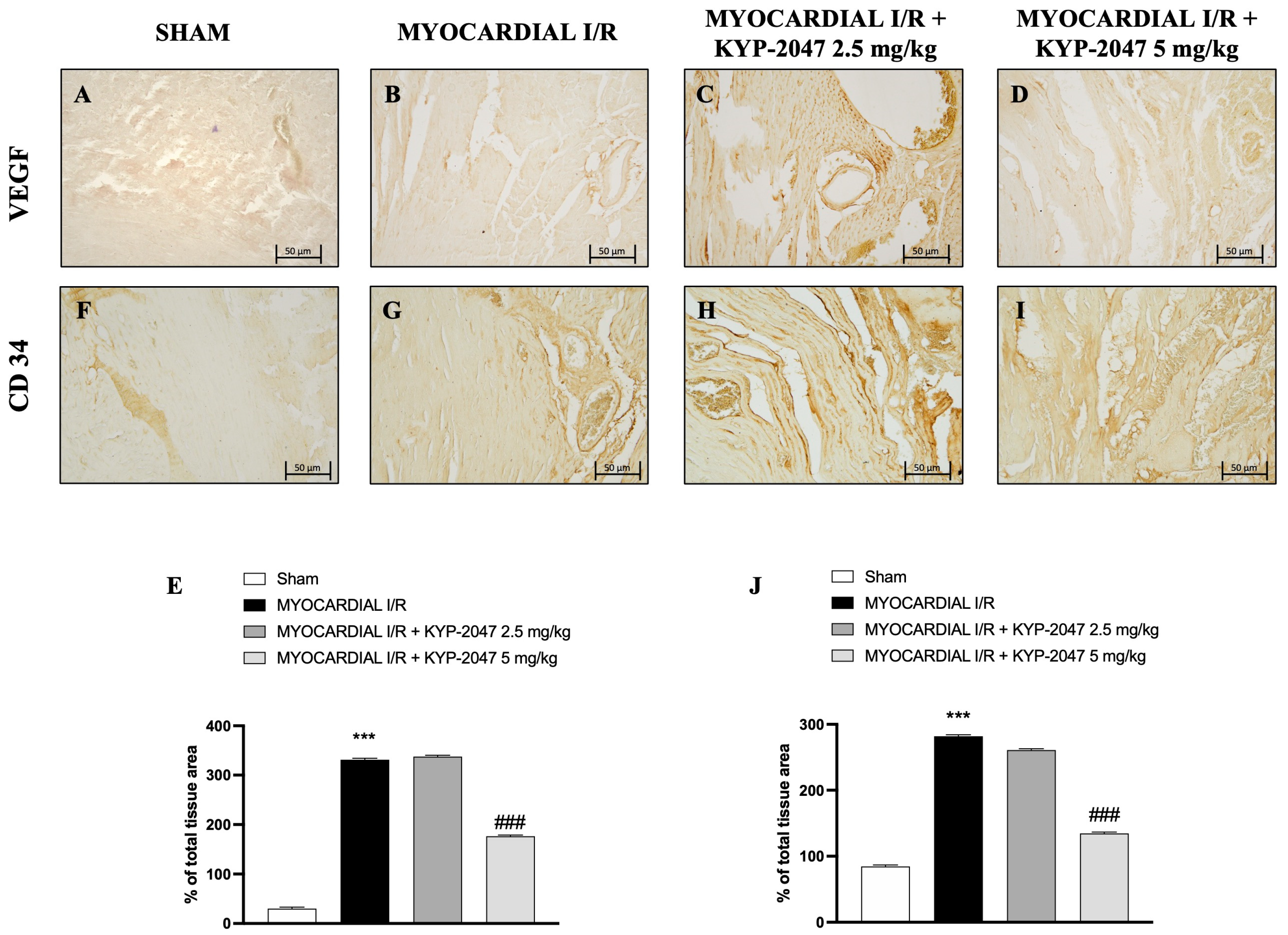 Antioxidants 14 00442 g004