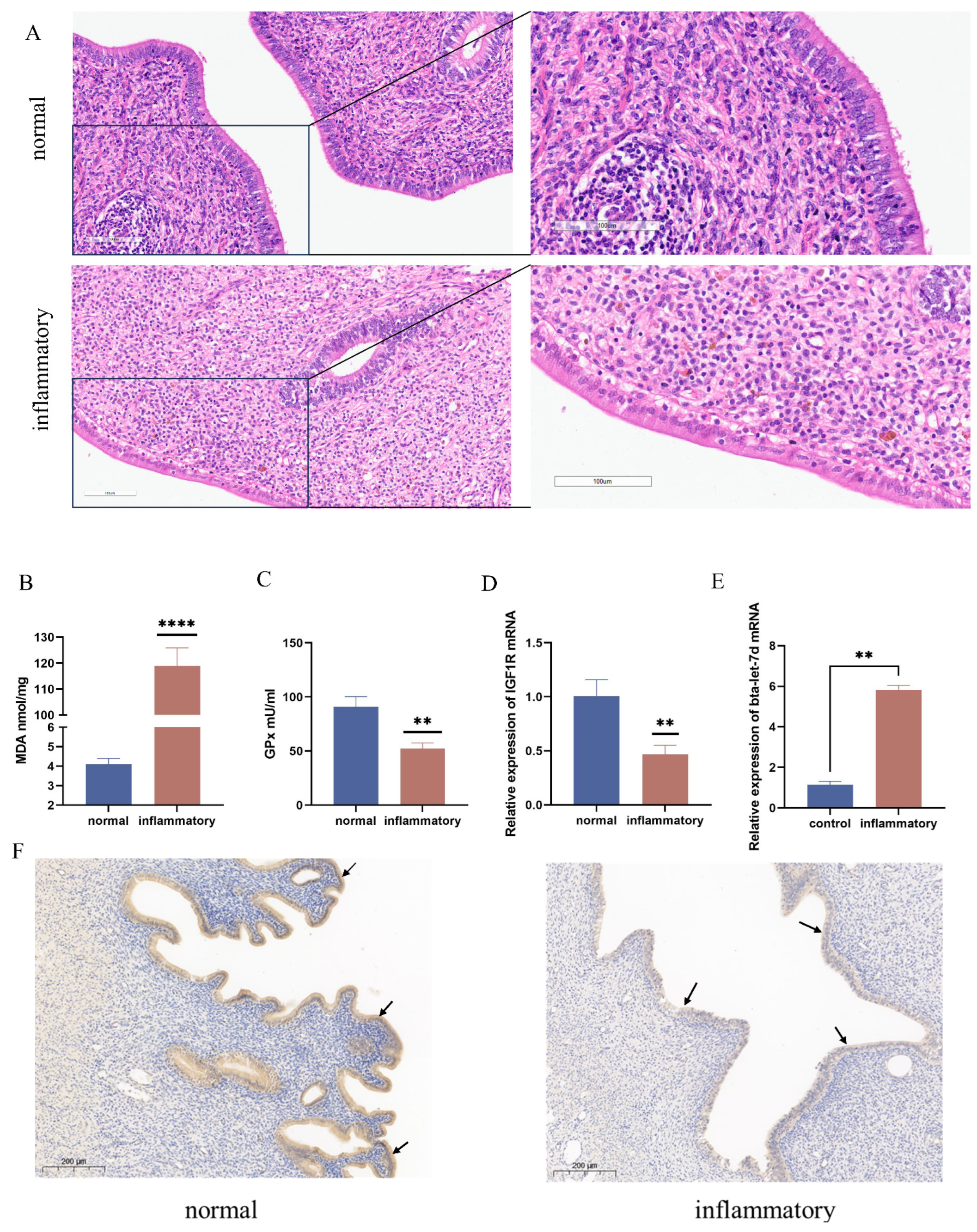 Antioxidants 14 00444 g001