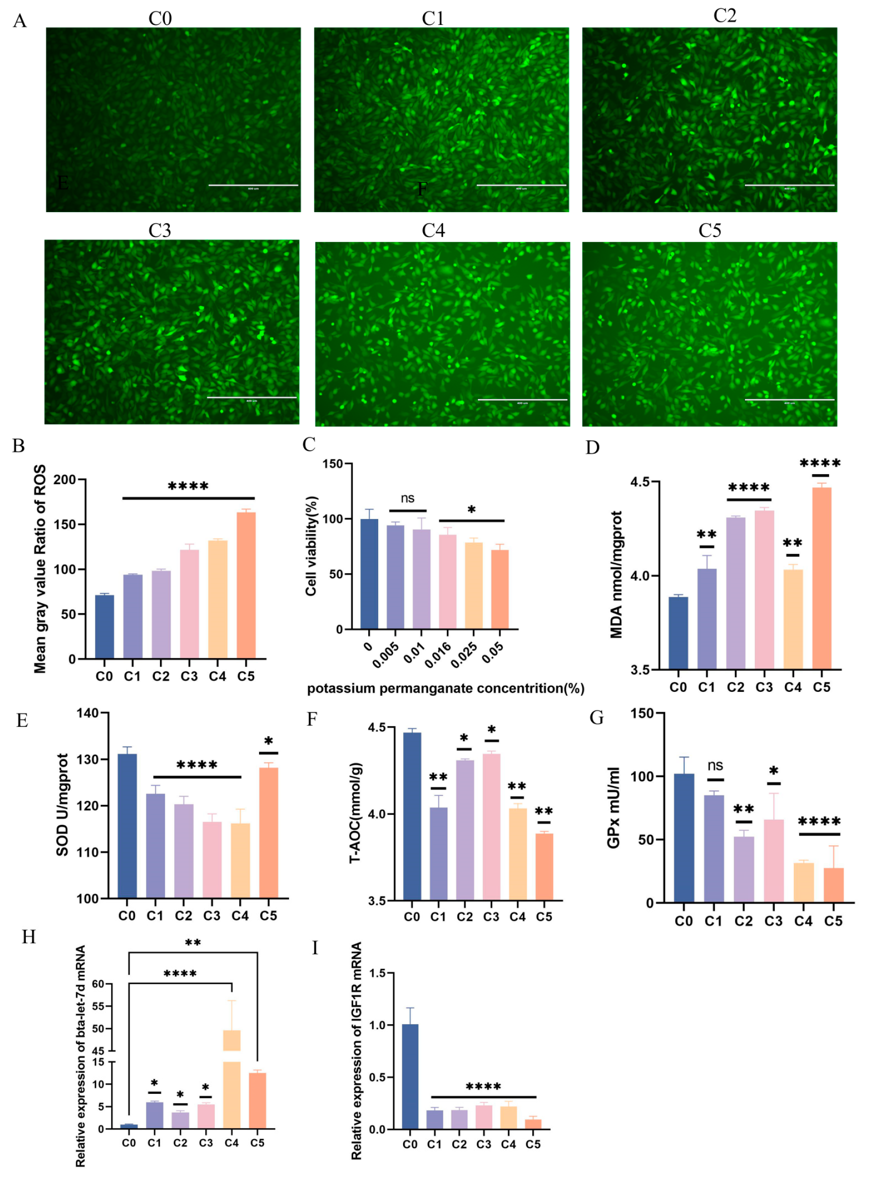 Antioxidants 14 00444 g002