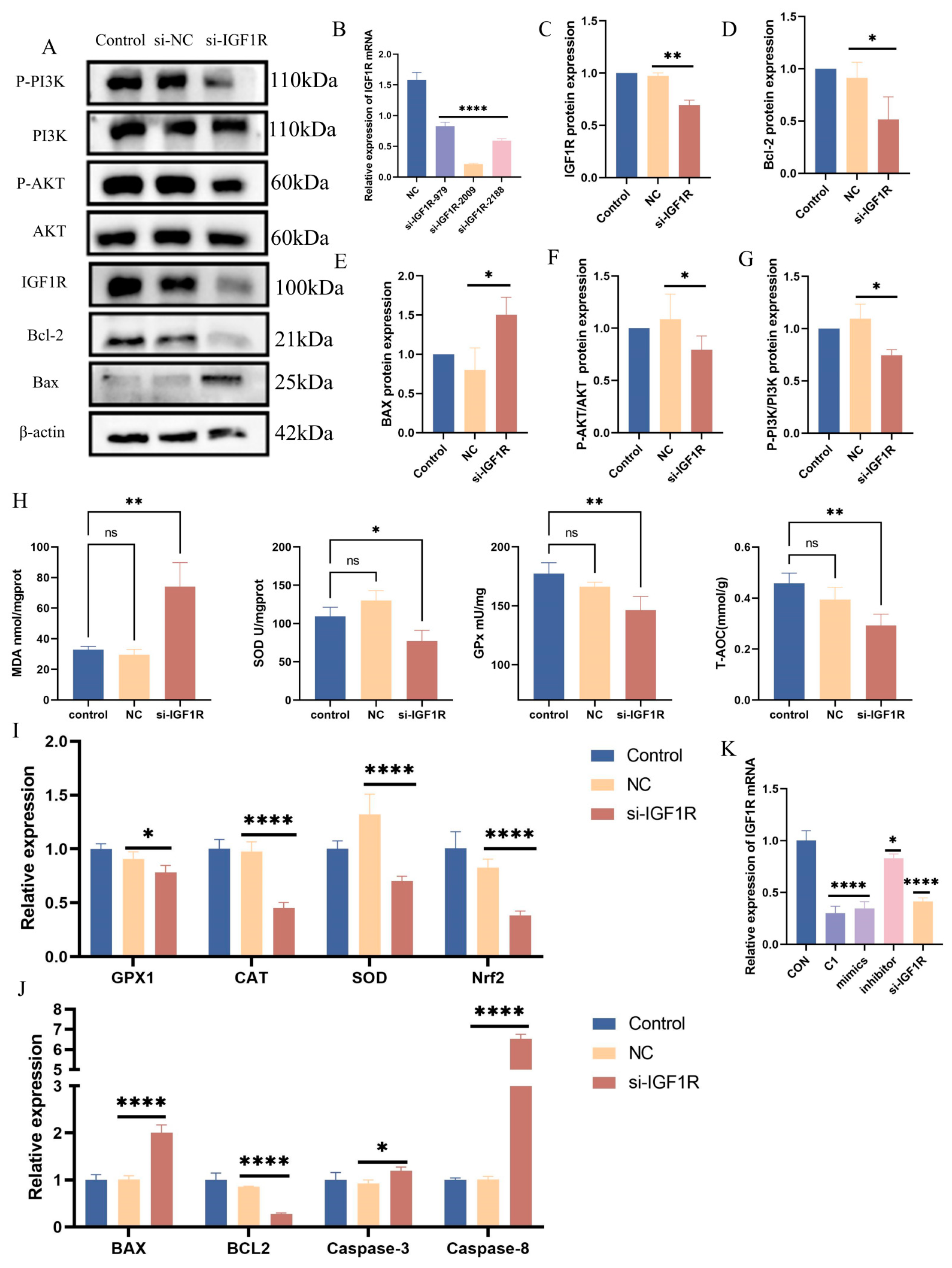 Antioxidants 14 00444 g007