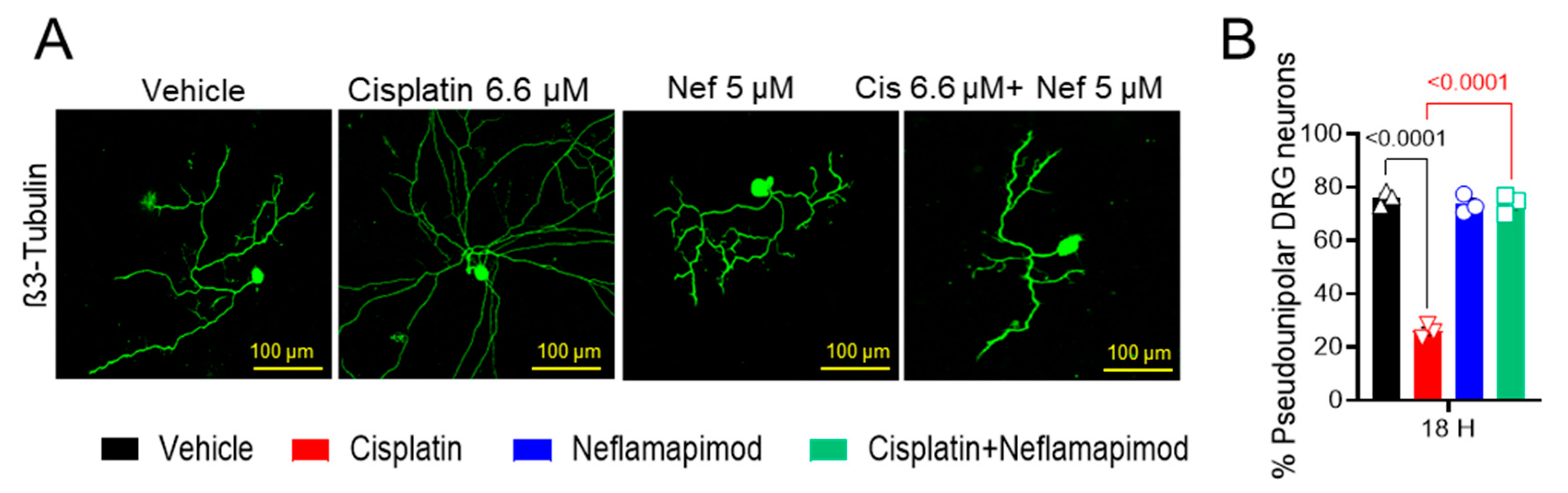 Antioxidants 14 00445 g003