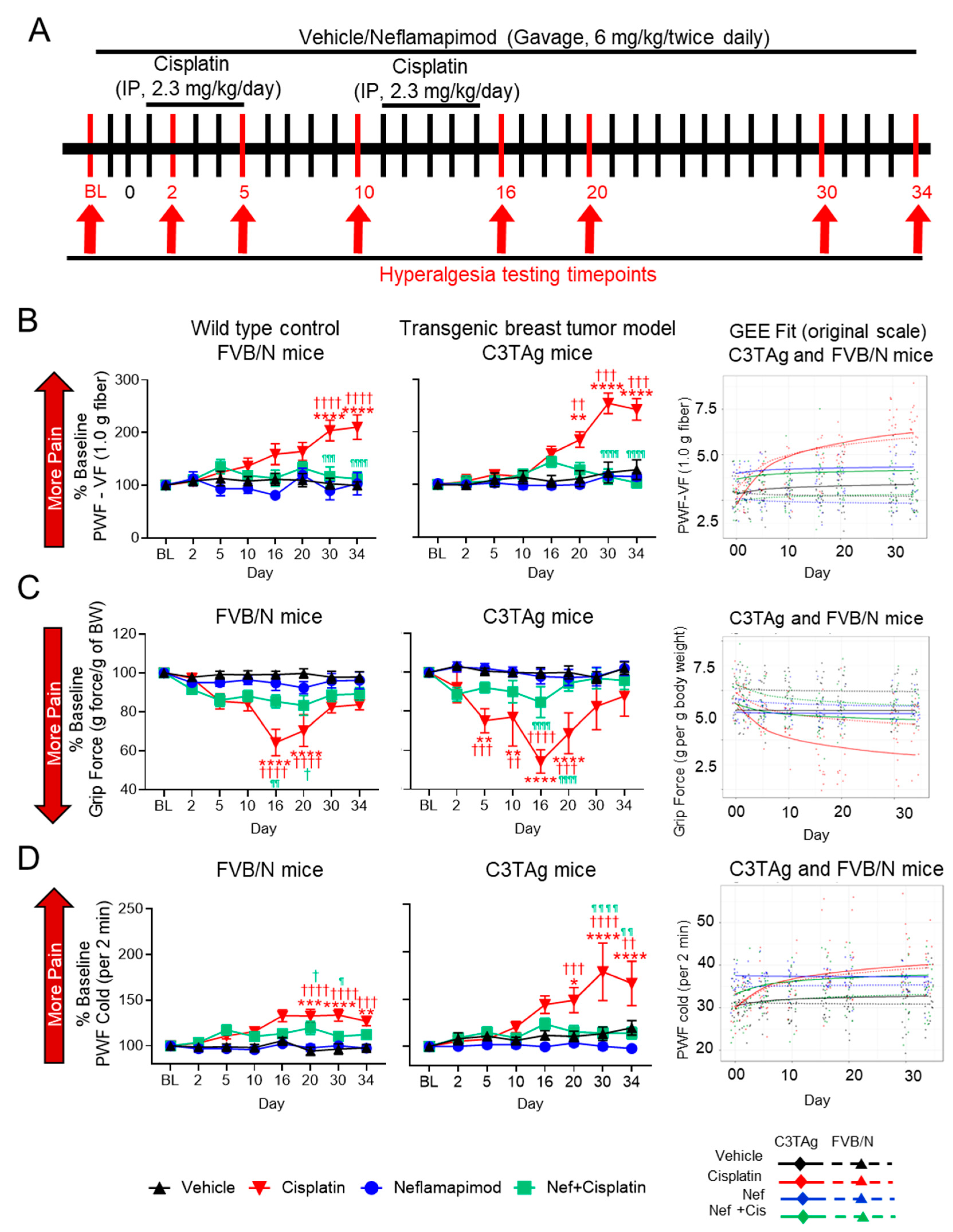 Antioxidants 14 00445 g005