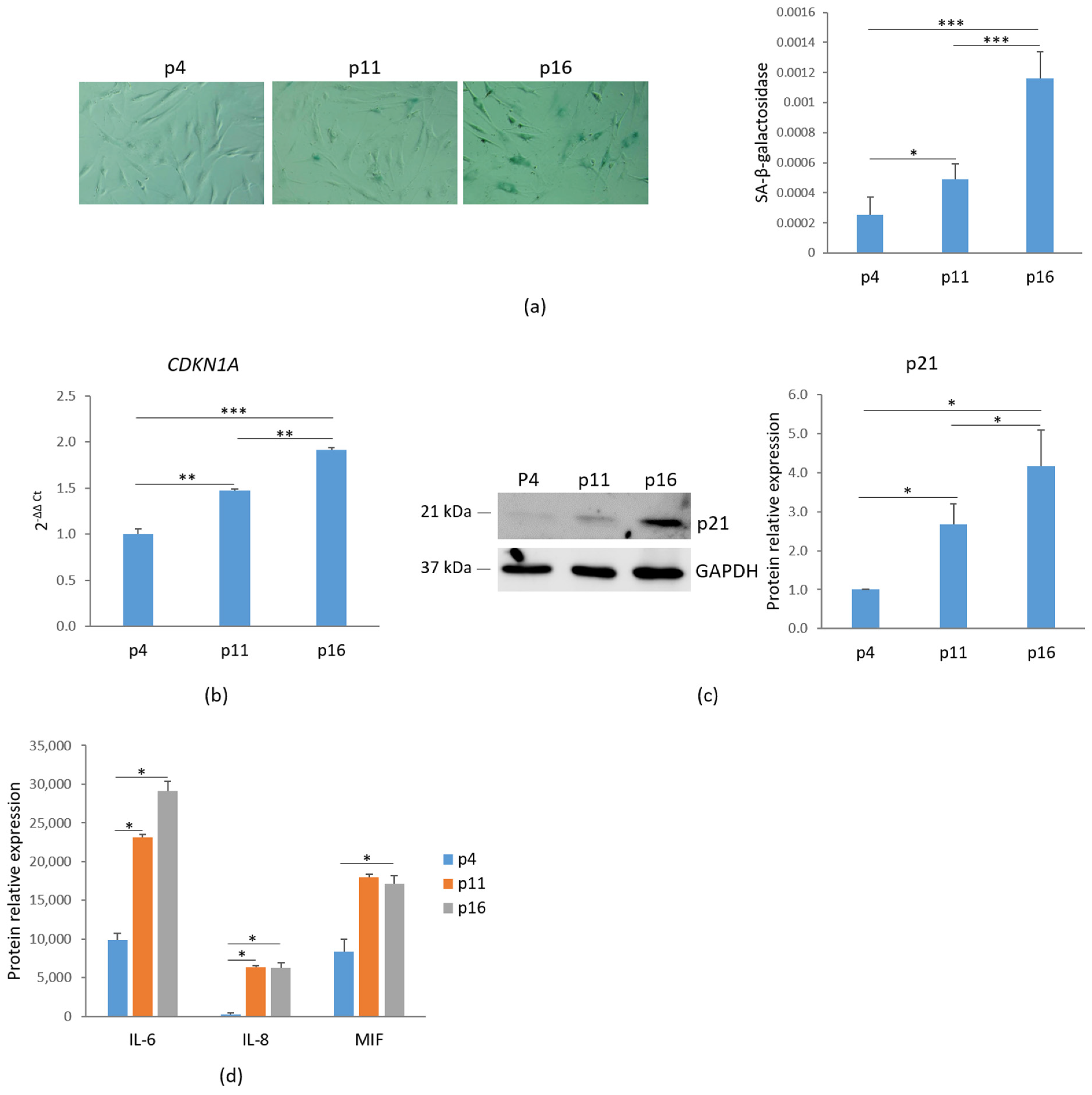 Antioxidants 14 00446 g001