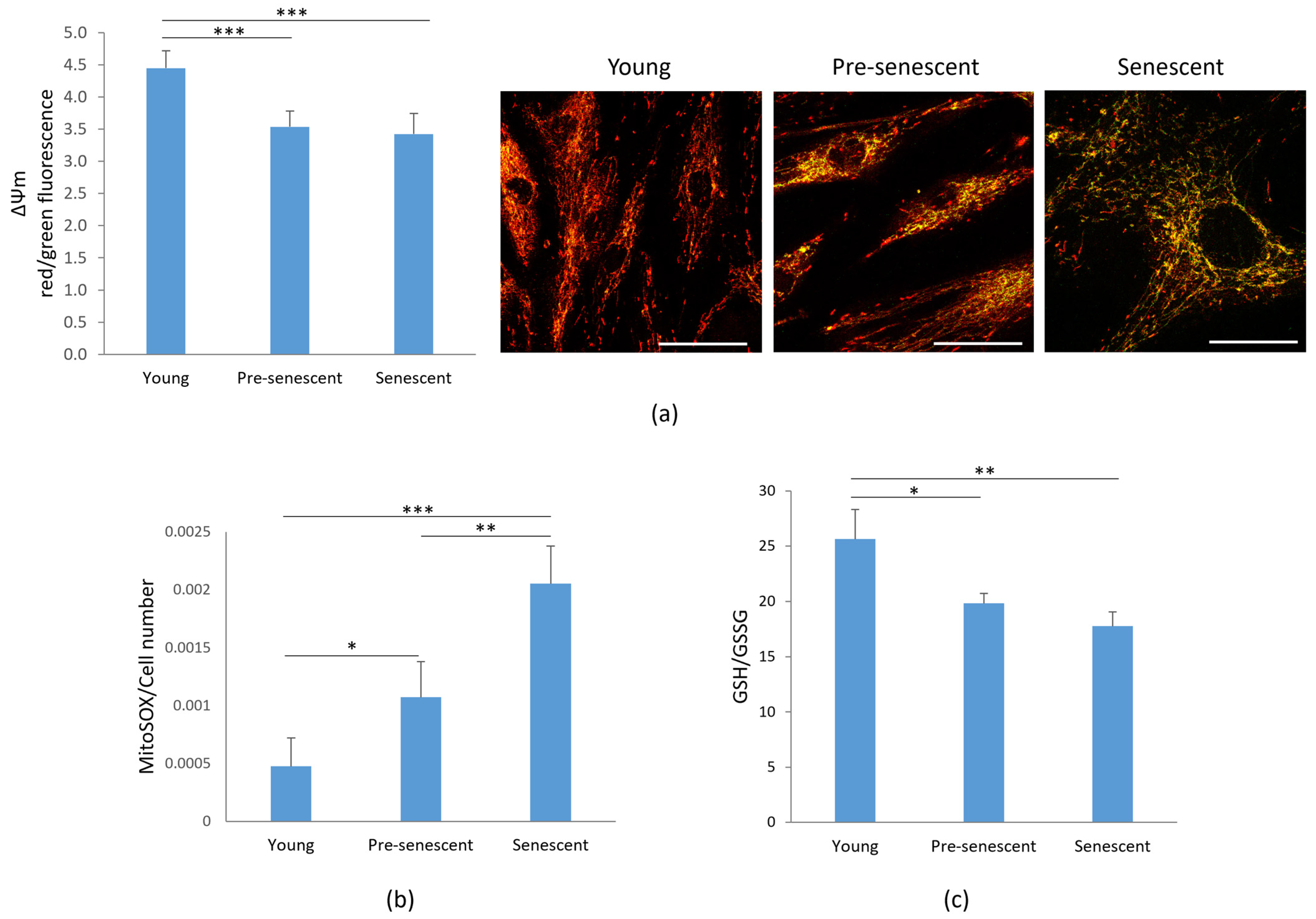 Antioxidants 14 00446 g004