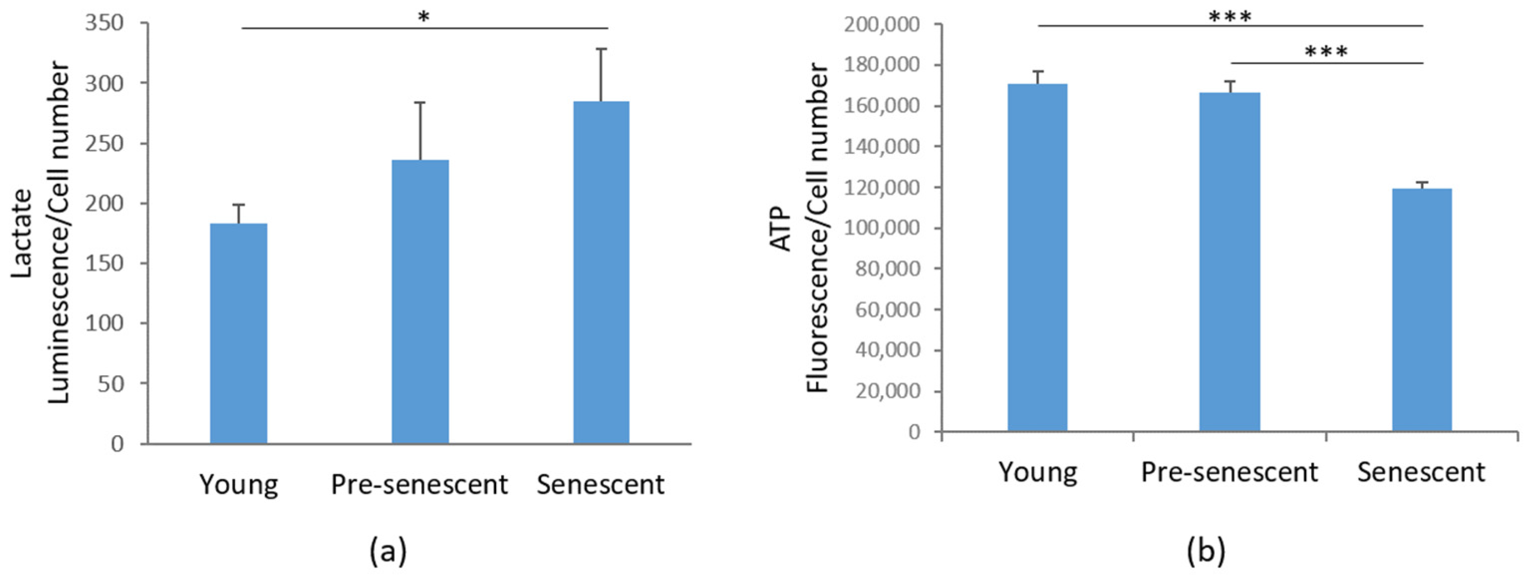 Antioxidants 14 00446 g006