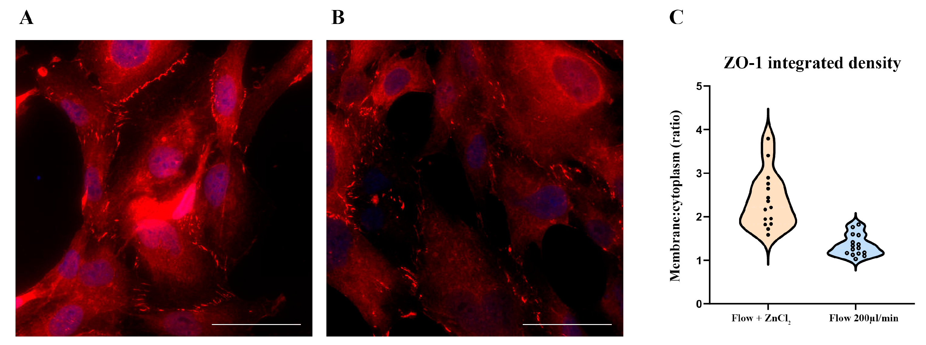 Antioxidants 14 00451 g006