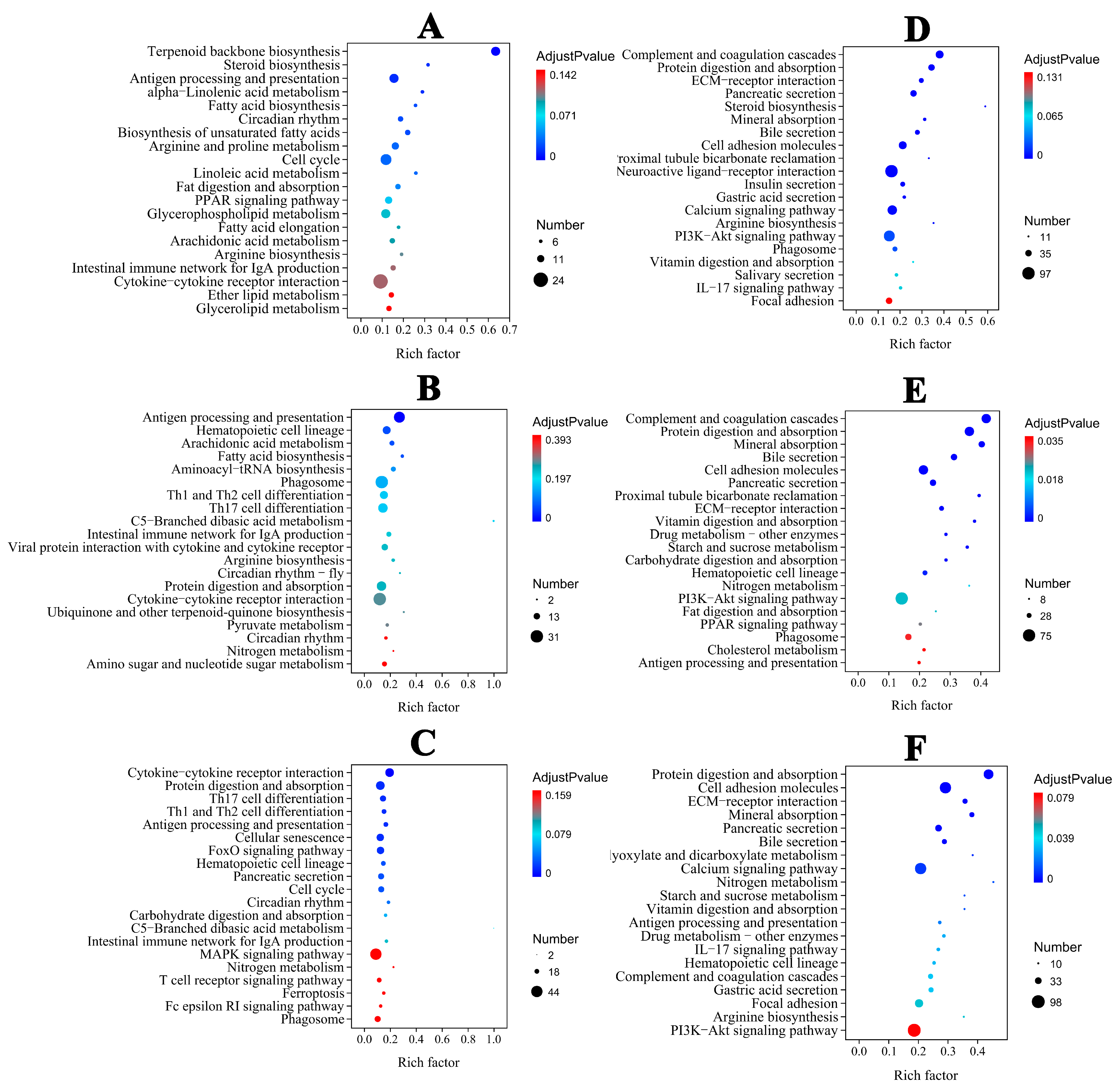 Antioxidants 14 00453 g004