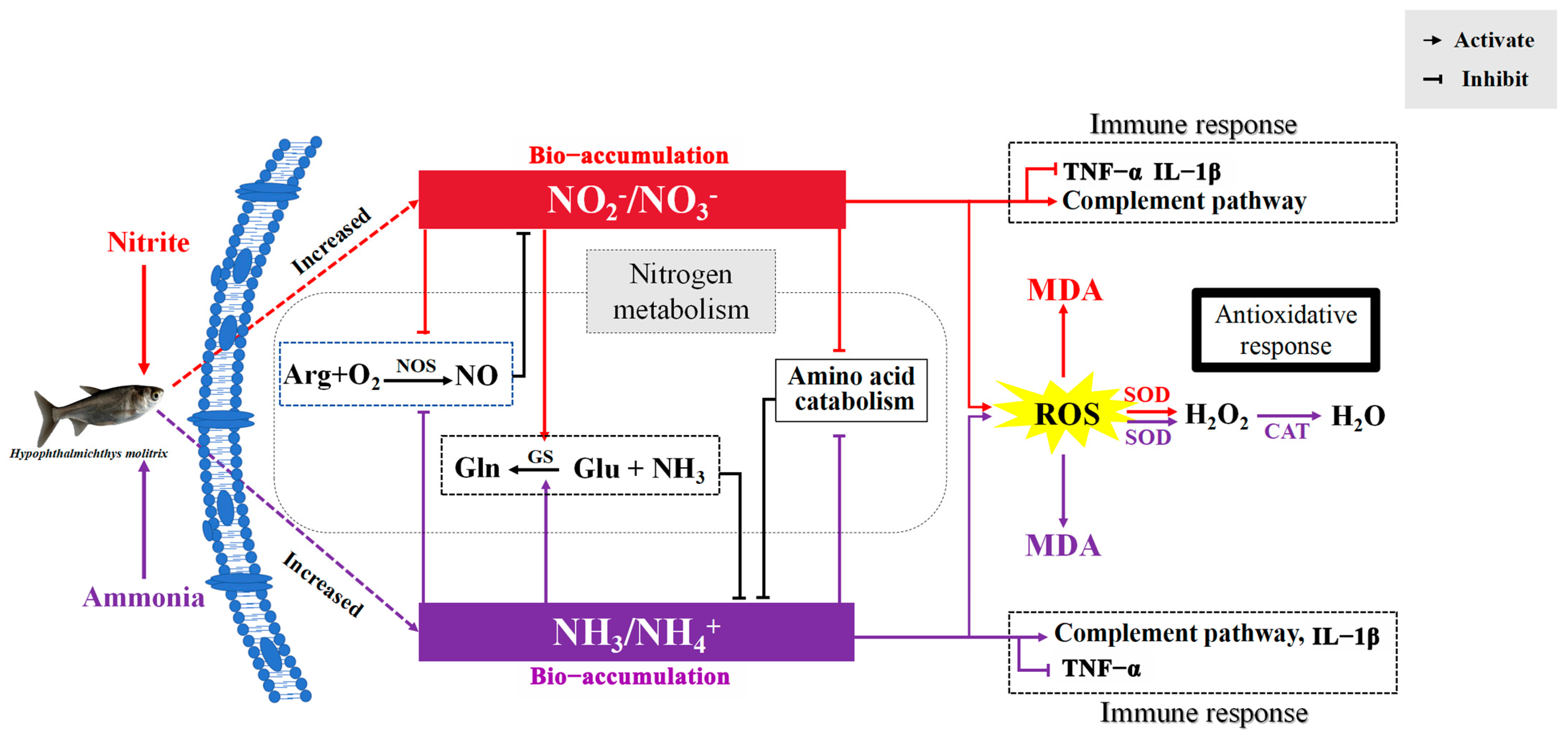 Antioxidants 14 00453 g007