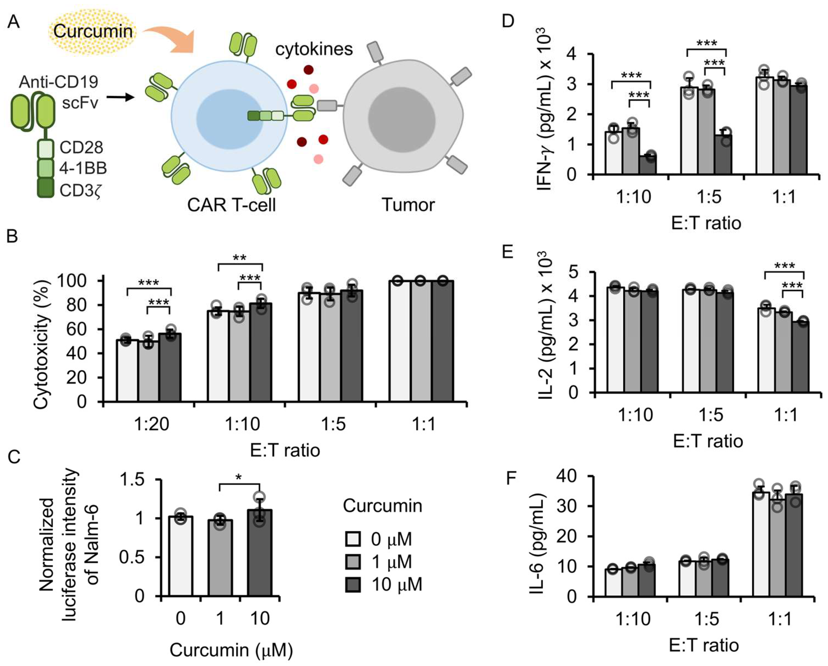 Antioxidants 14 00454 g002