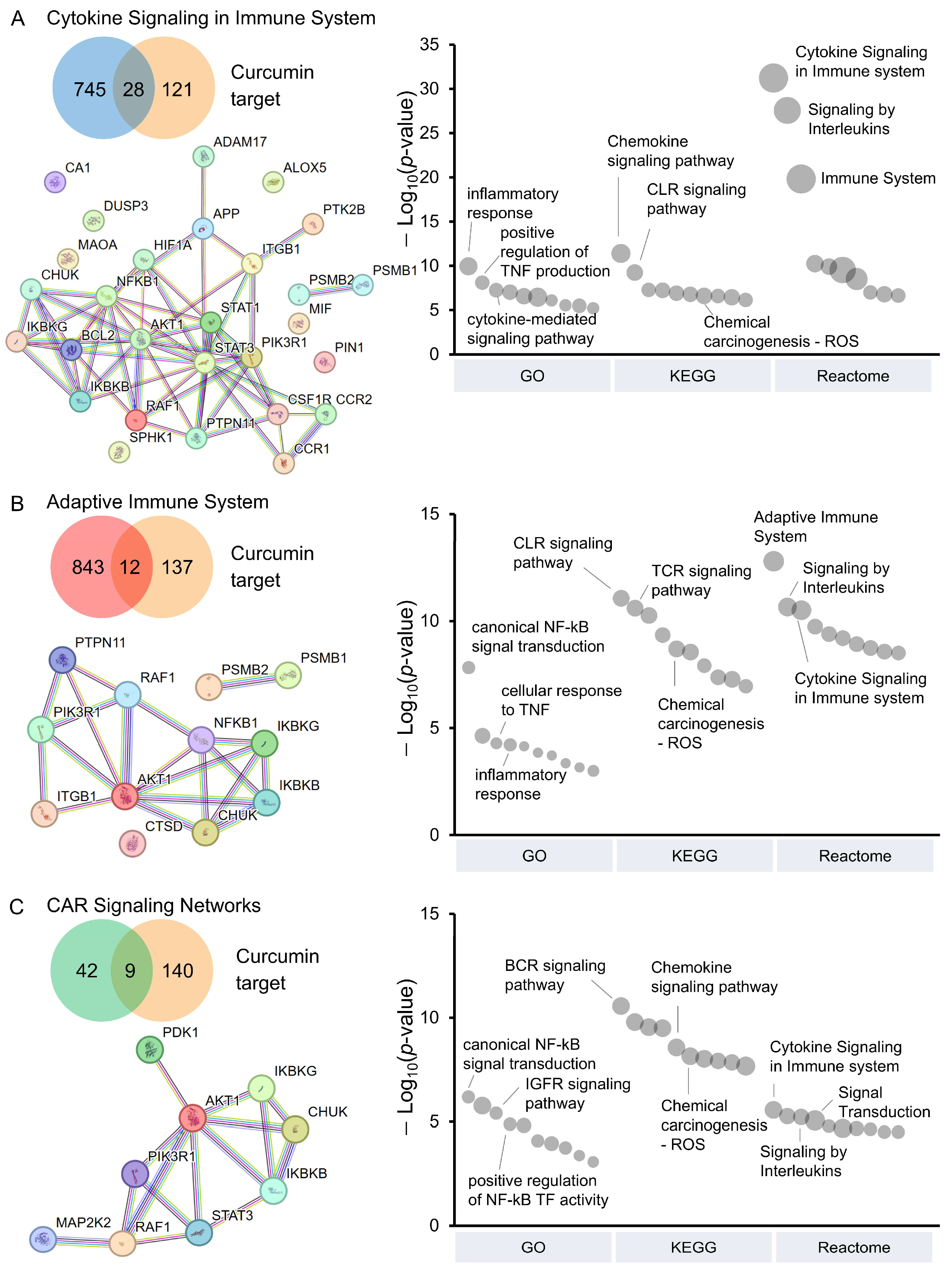 Antioxidants 14 00454 g003