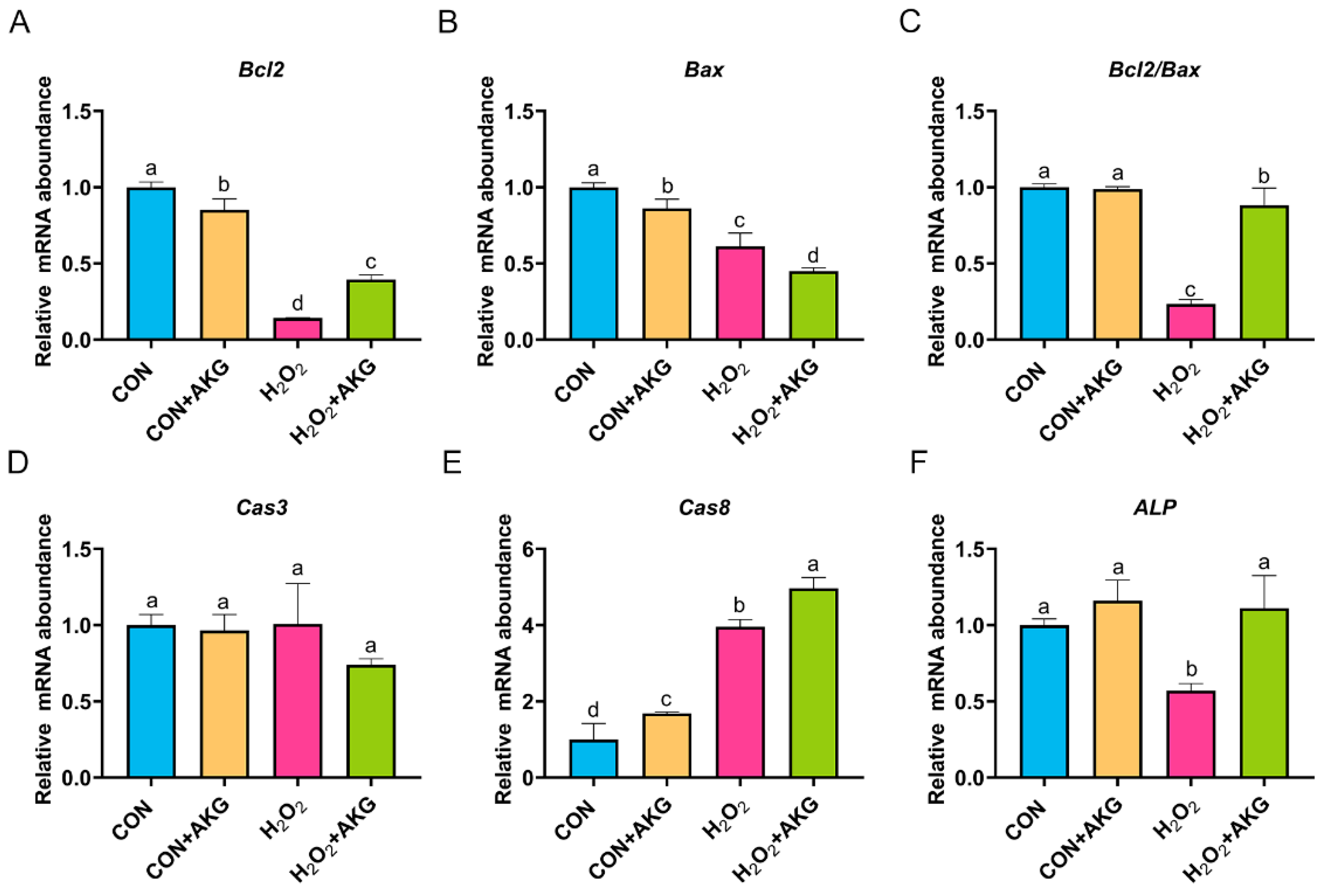 Antioxidants 14 00455 g004