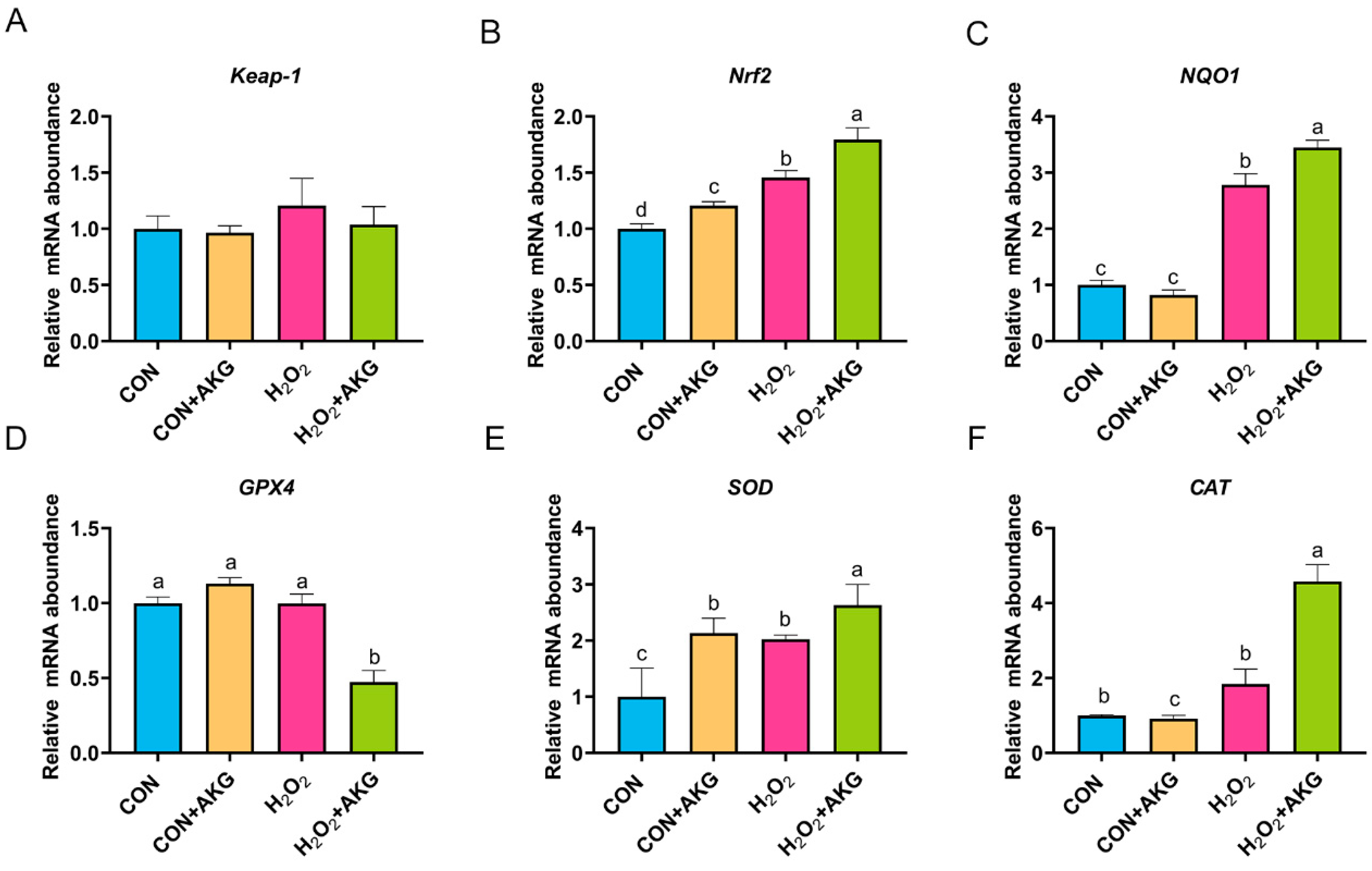 Antioxidants 14 00455 g007