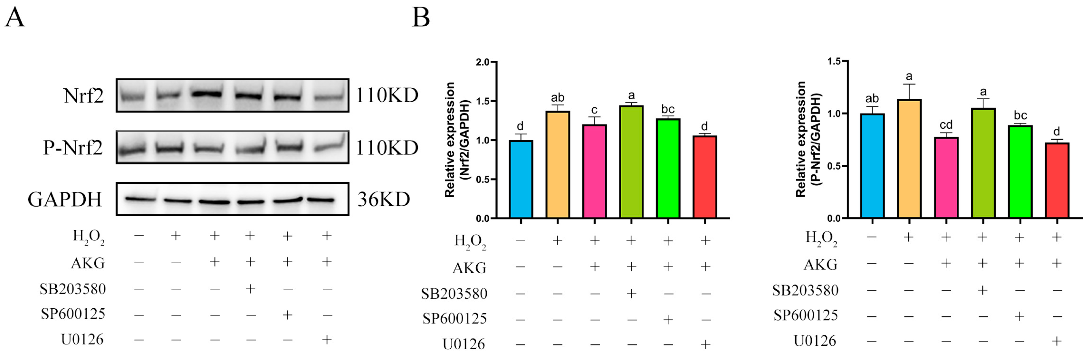 Antioxidants 14 00455 g010