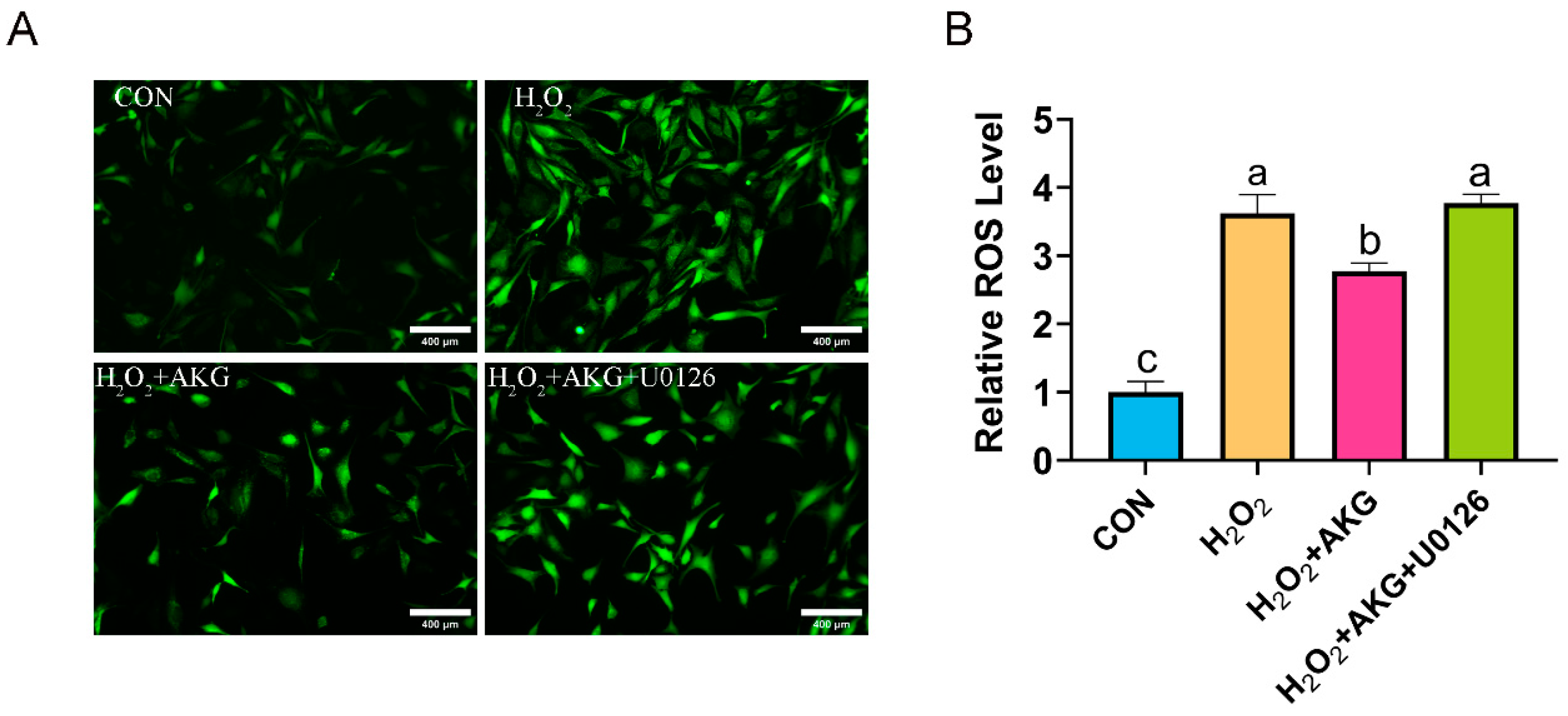 Antioxidants 14 00455 g011