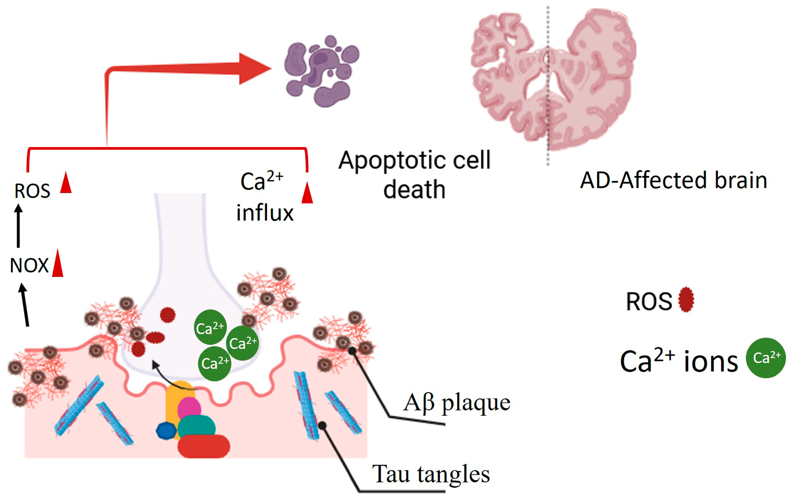 Antioxidants 14 00457 g001