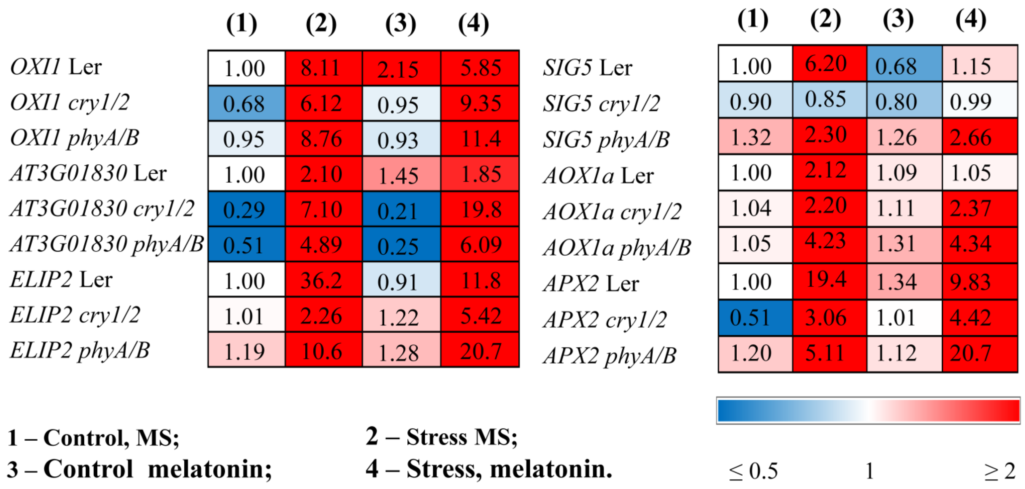 Antioxidants 14 00458 g004