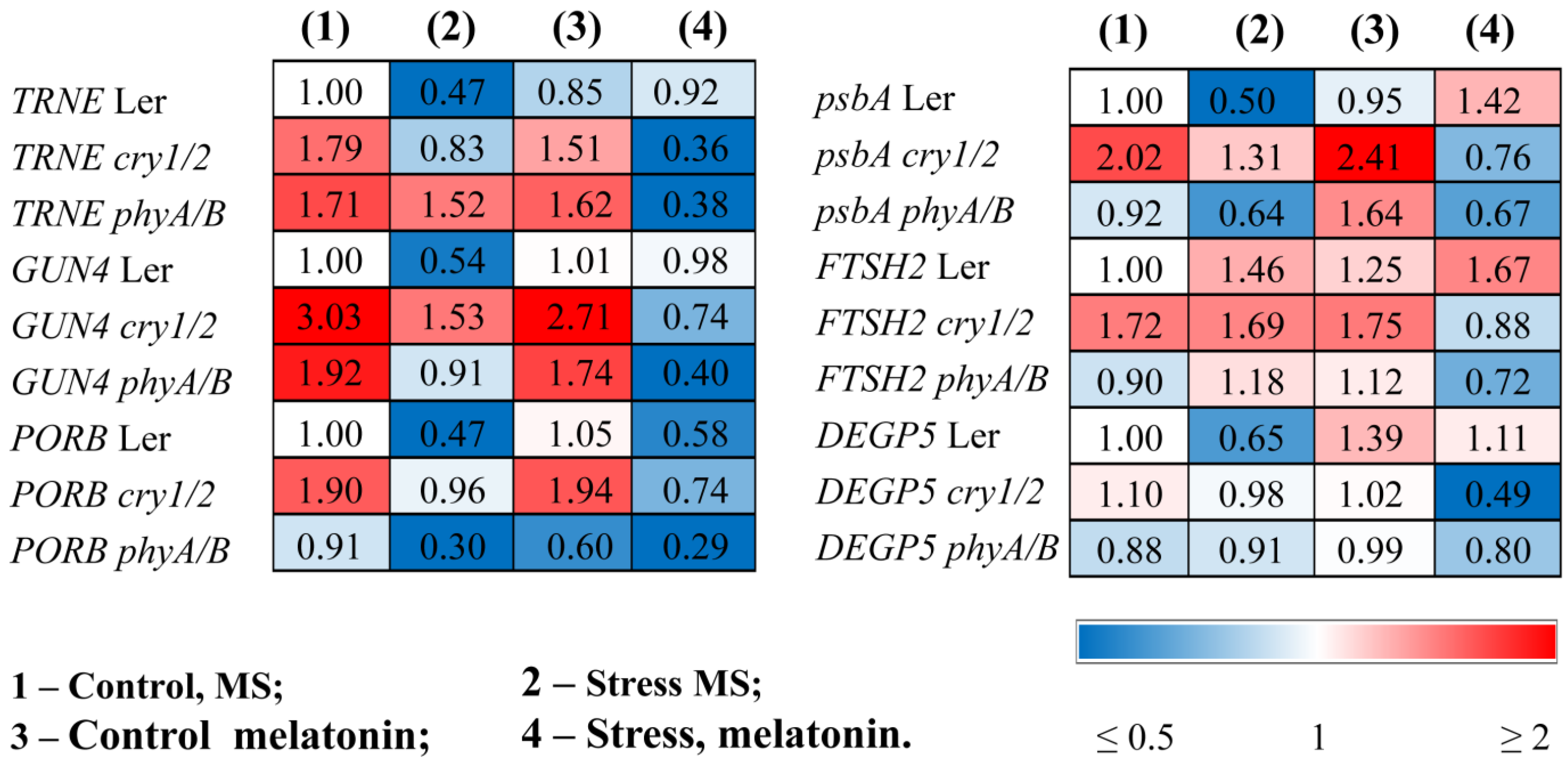 Antioxidants 14 00458 g005