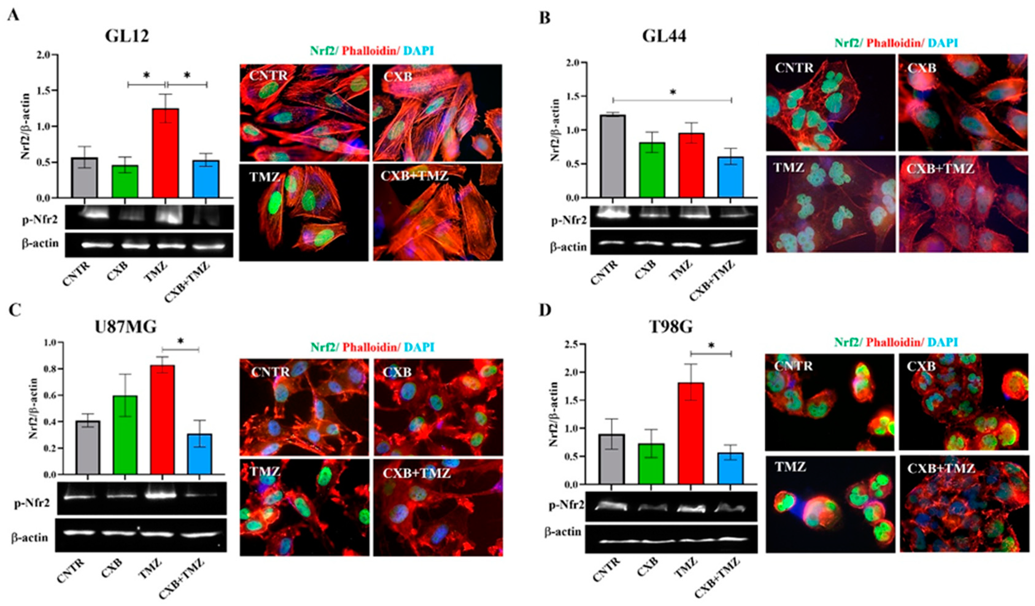 Antioxidants 14 00459 g002 Antioxidants 14 00459 g002