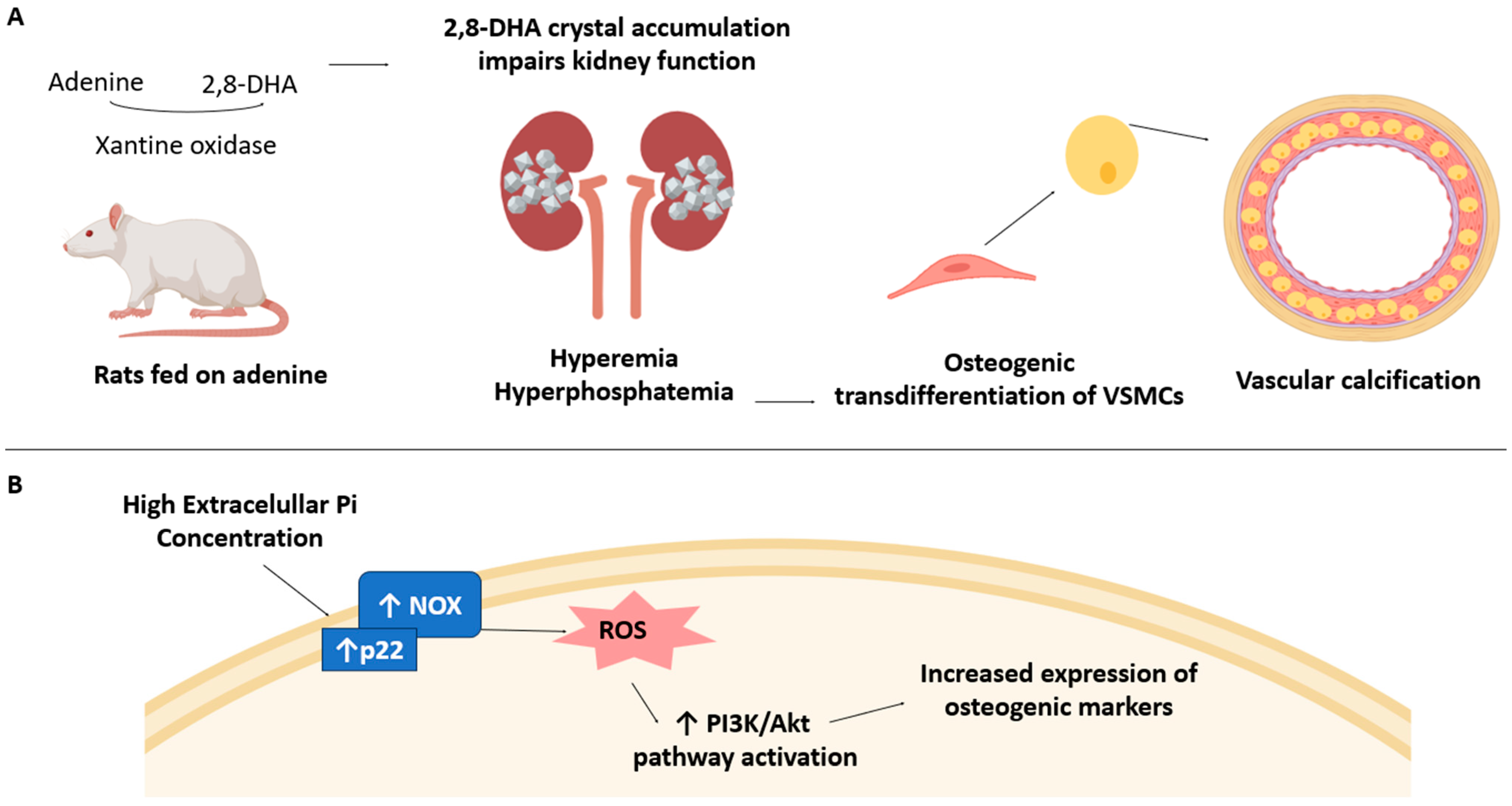 Antioxidants 14 00461 g002
