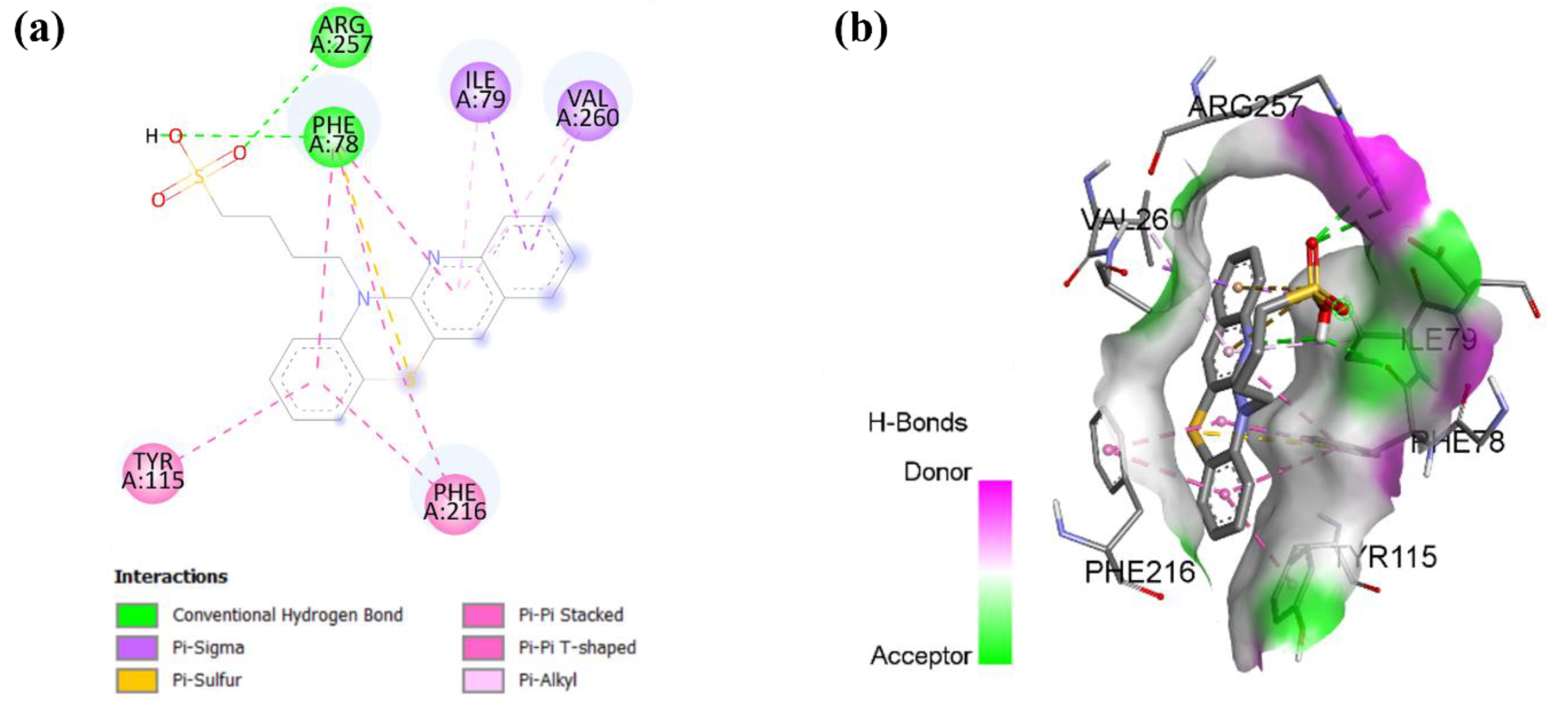 Antioxidants 14 00464 g007