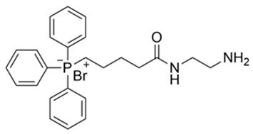 Antioxidants 14 00465 i001