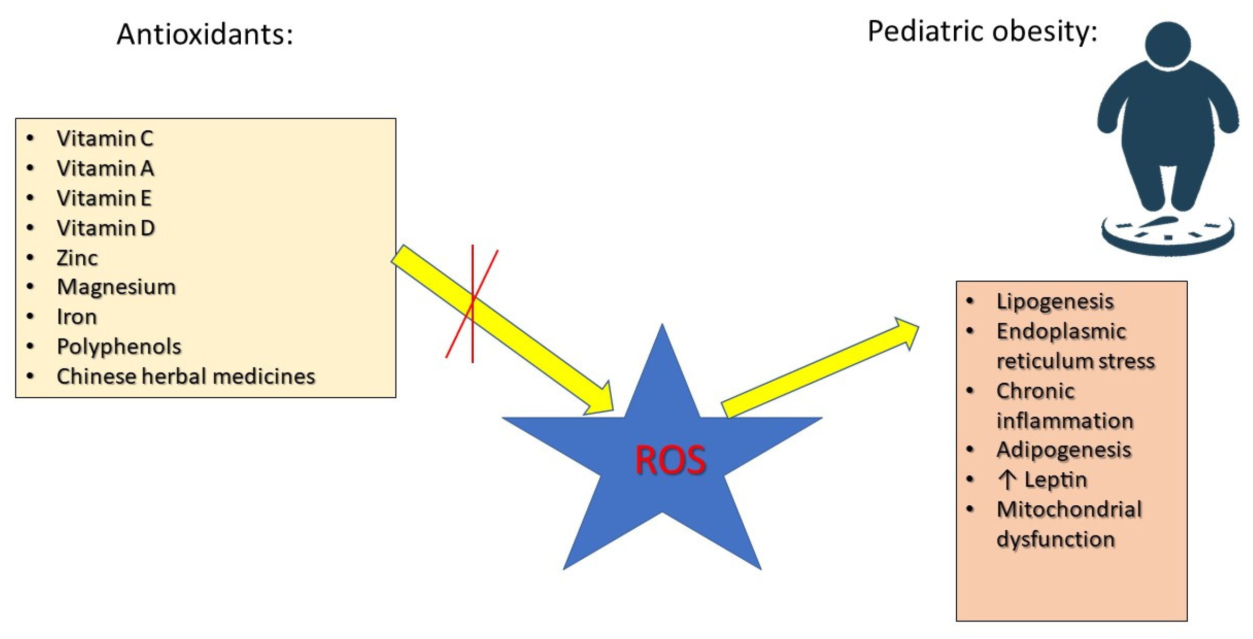 Antioxidants 14 00466 g001