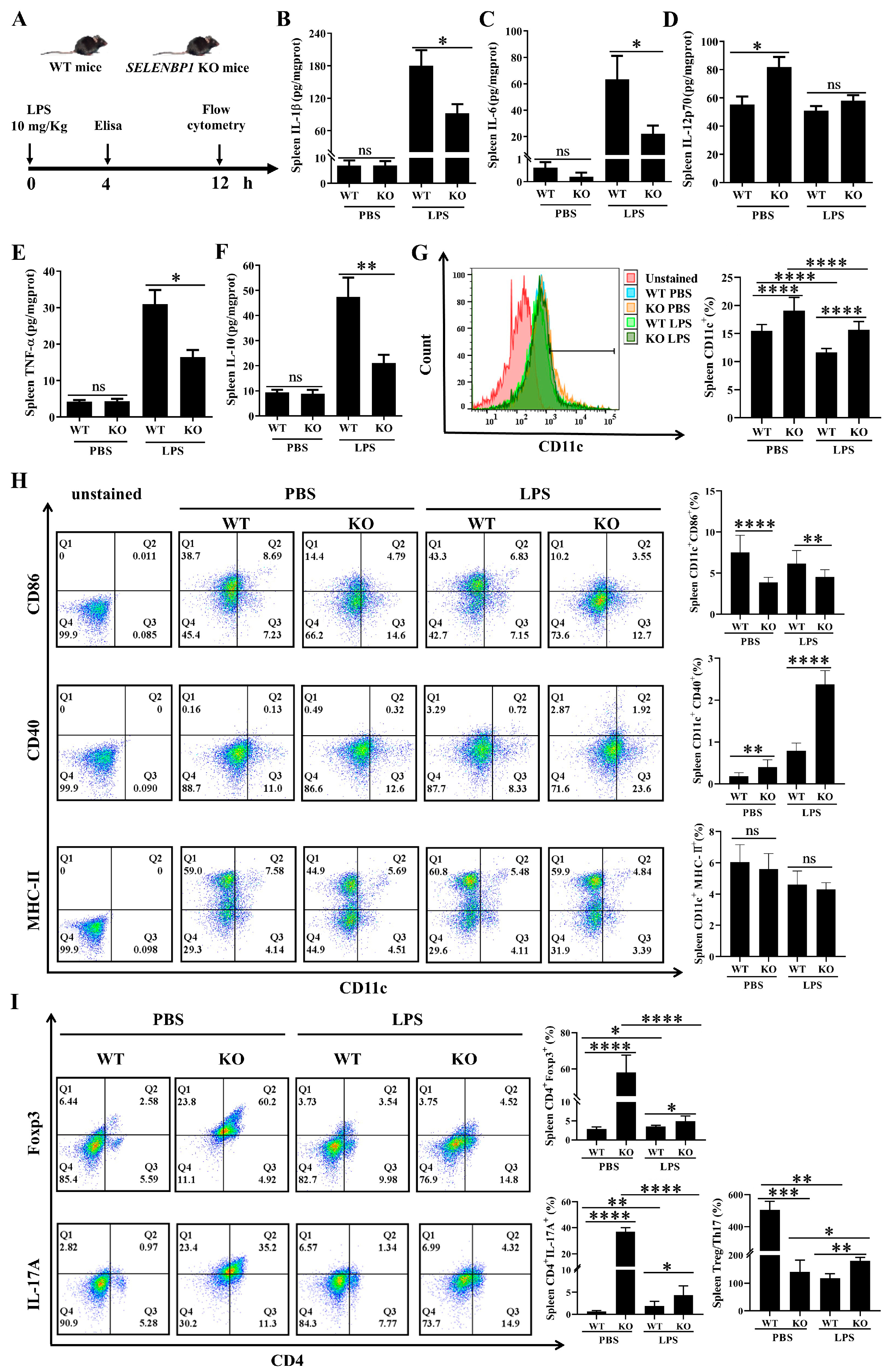 Antioxidants 14 00468 g004