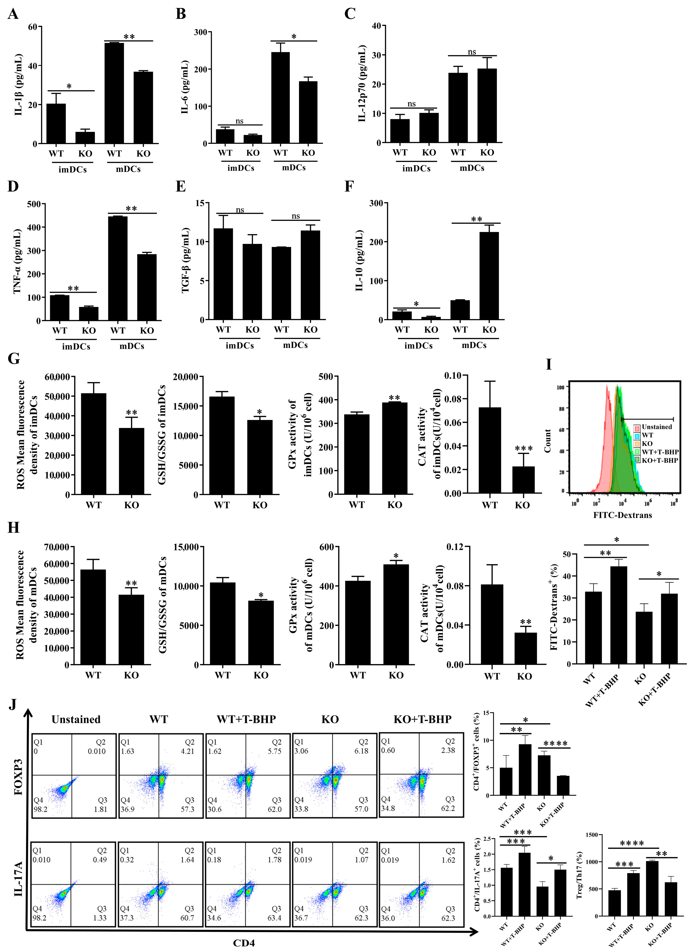 Antioxidants 14 00468 g007