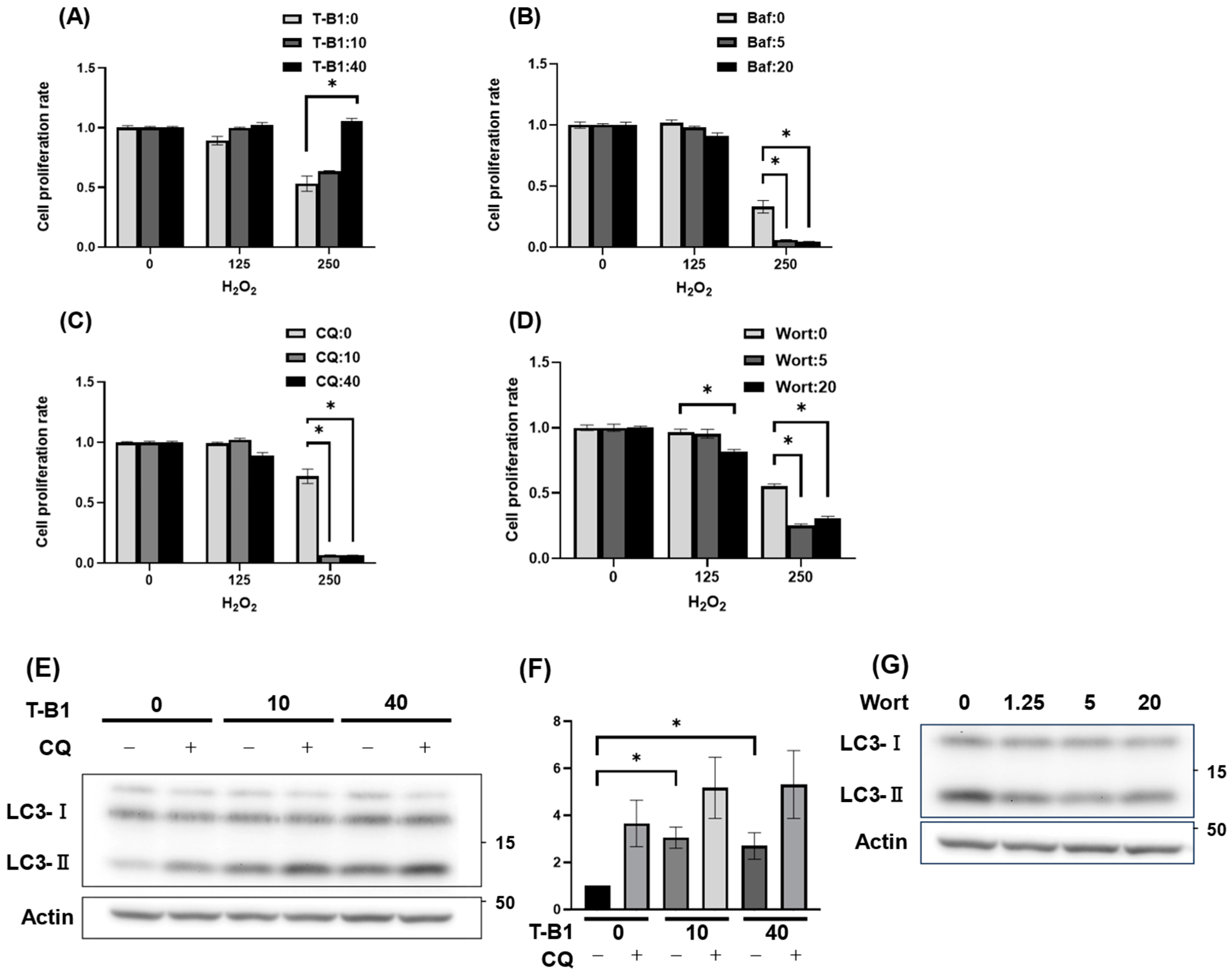 Antioxidants 14 00470 g002 Antioxidants 14 00470 g002