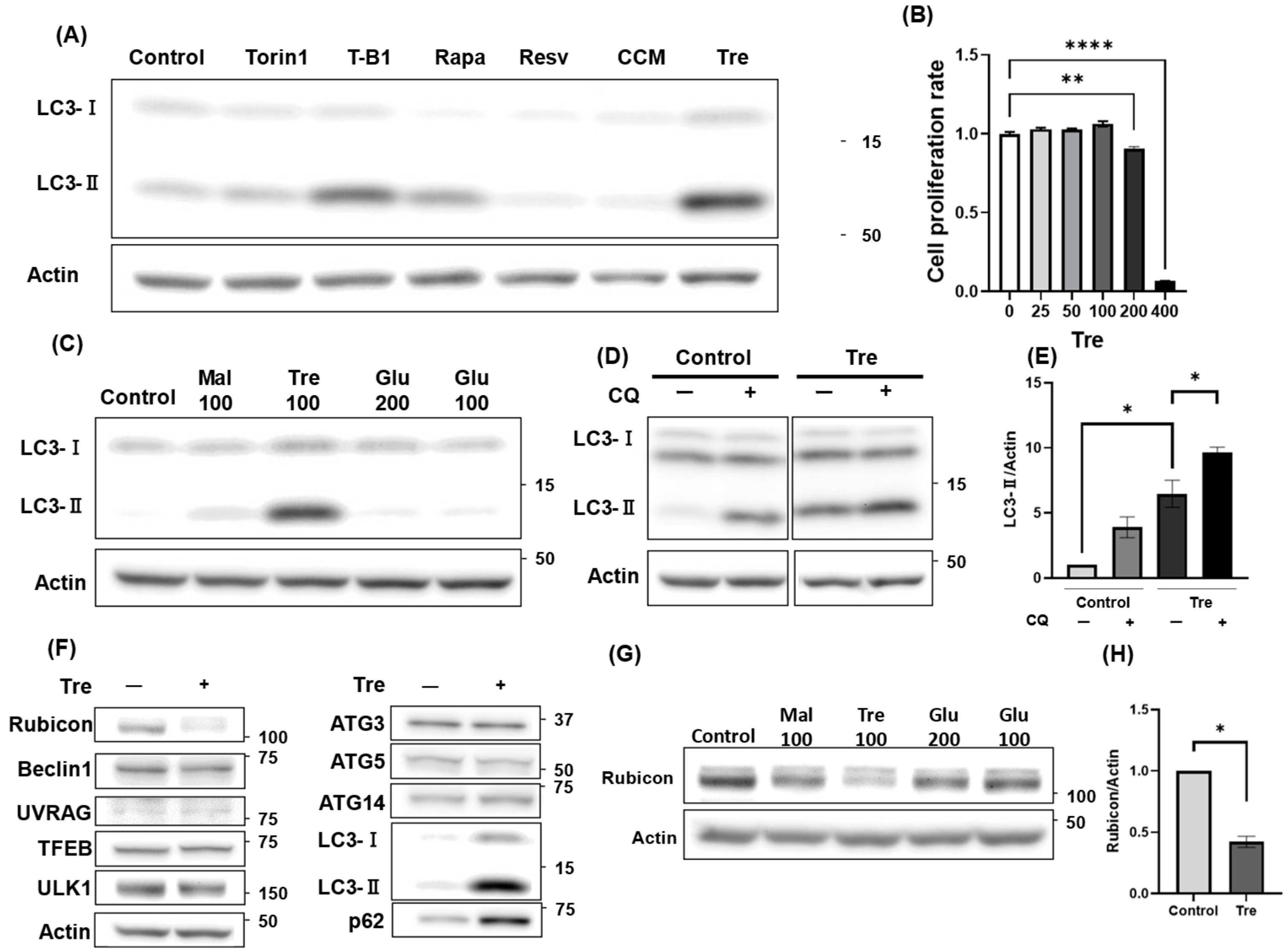 Antioxidants 14 00470 g003 Antioxidants 14 00470 g003