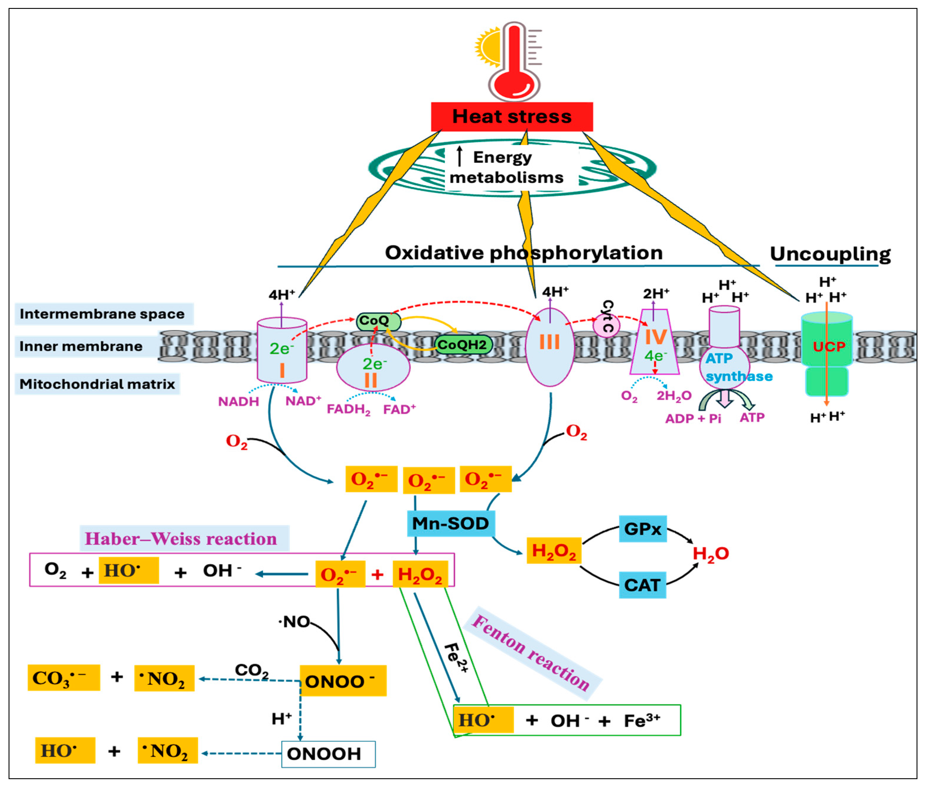 Antioxidants 14 00471 g002