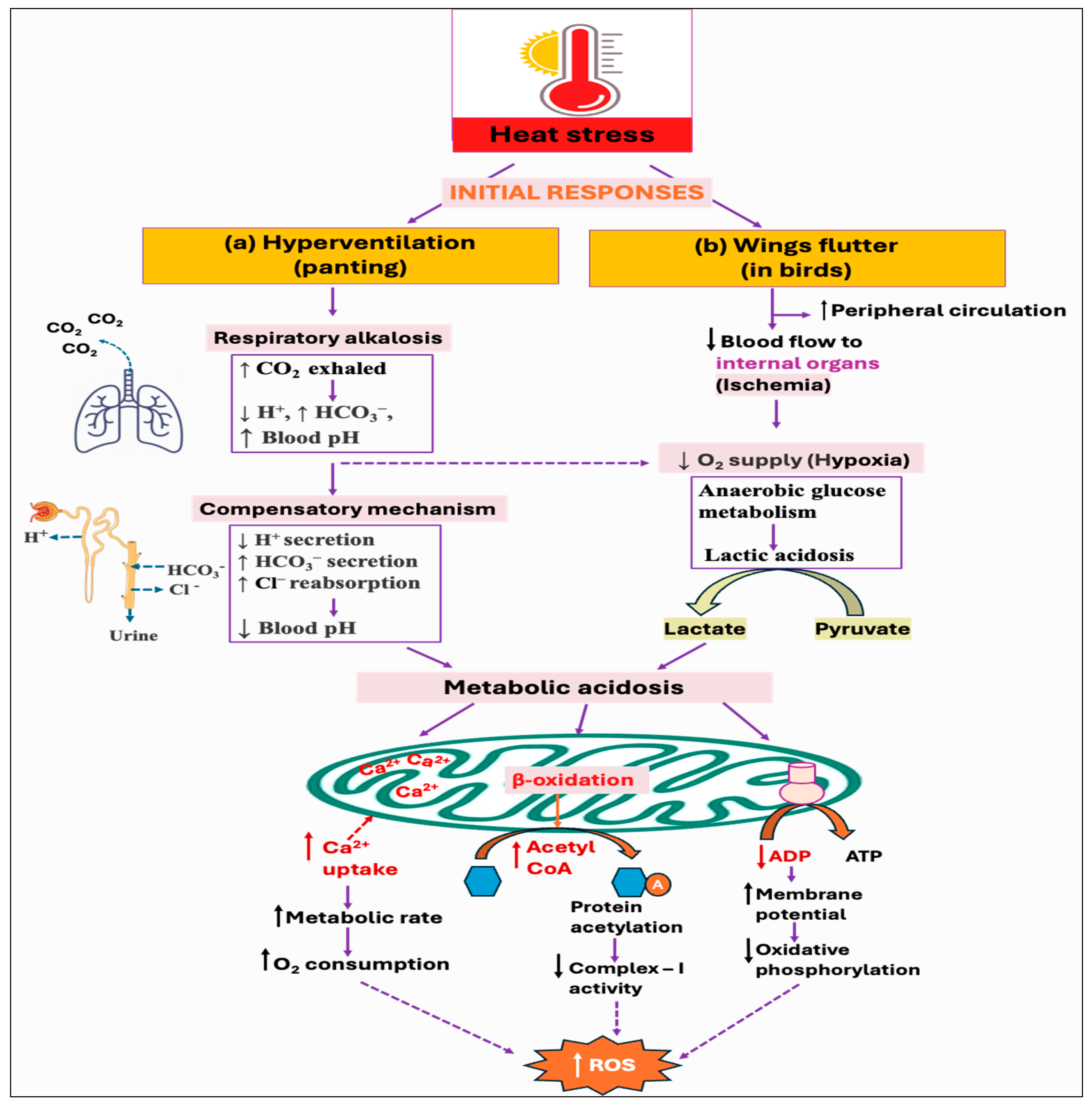 Antioxidants 14 00471 g004