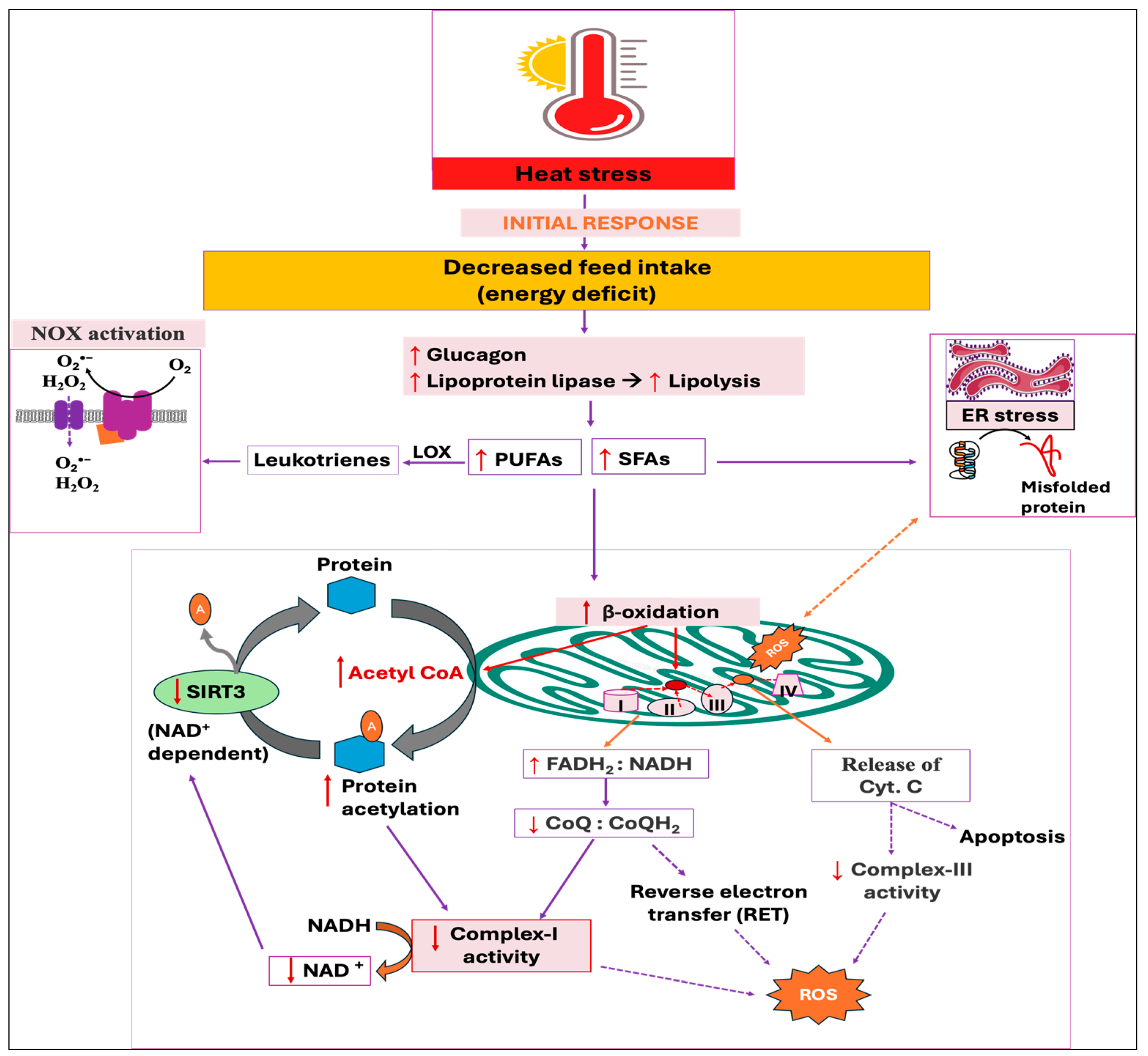 Antioxidants 14 00471 g006