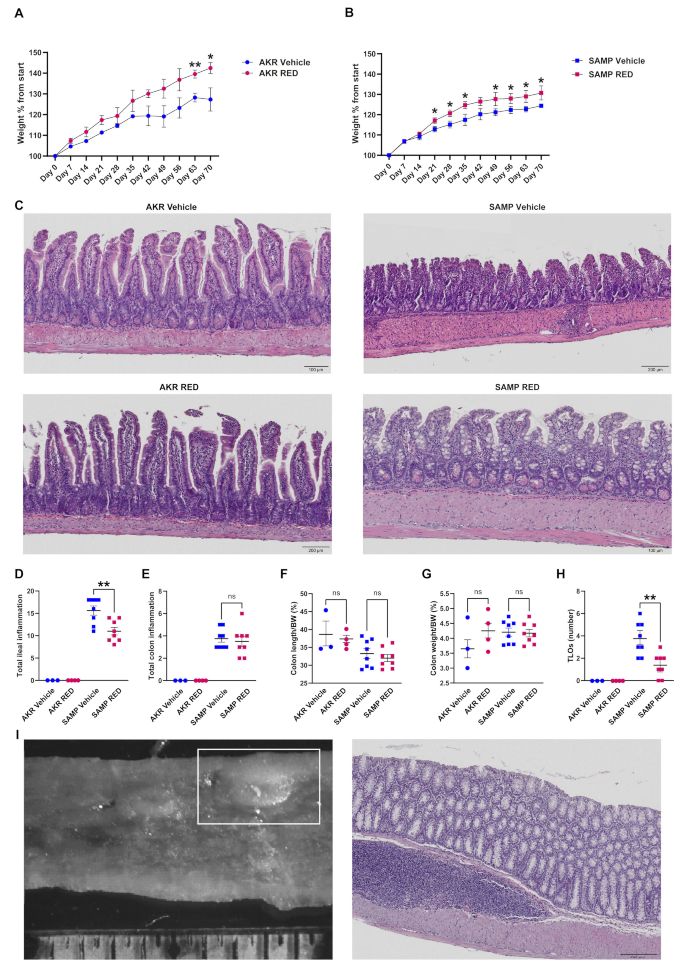 Antioxidants 14 00473 g005