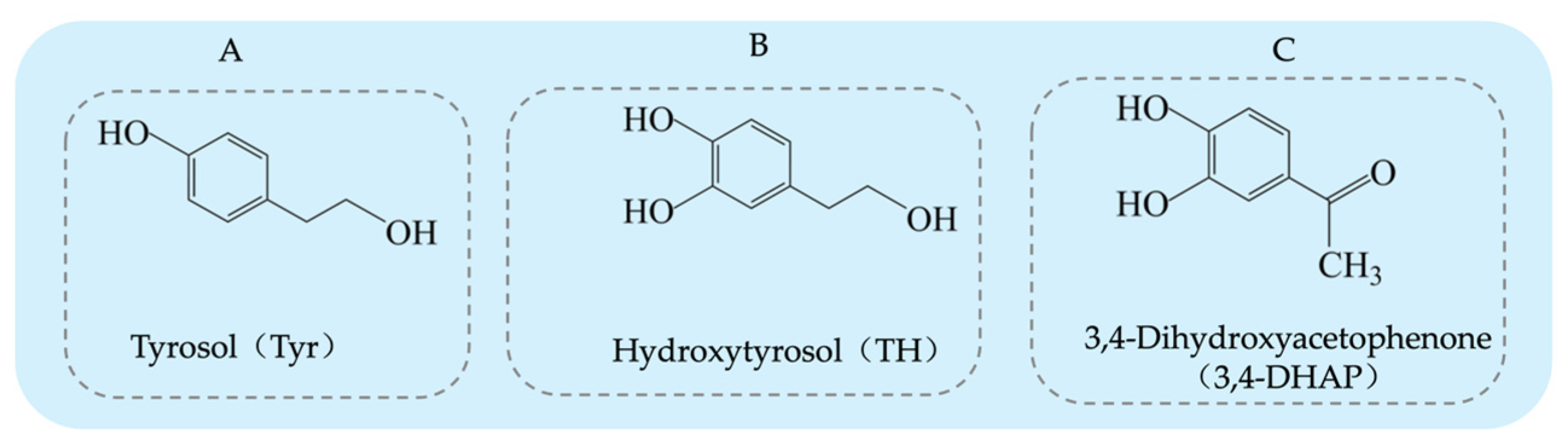 Antioxidants 14 00476 g001