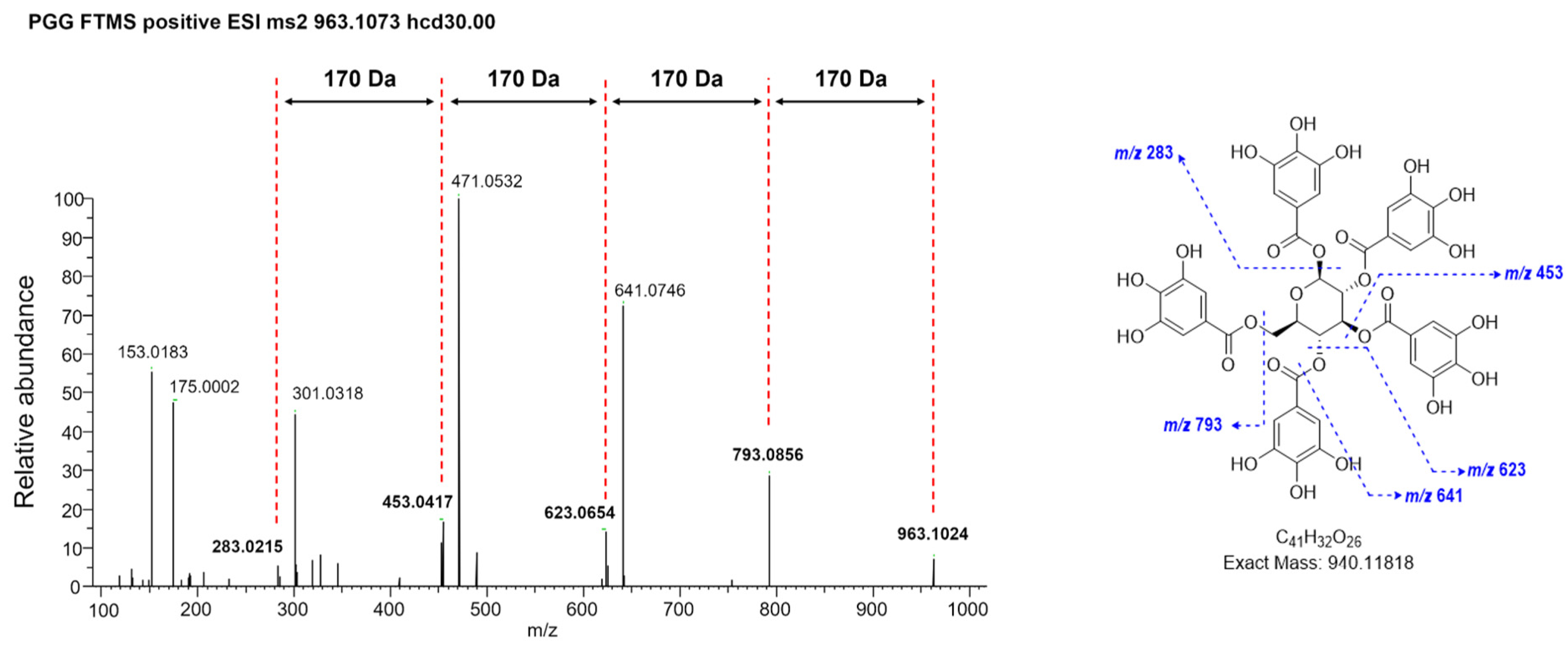 Antioxidants 14 00477 g002