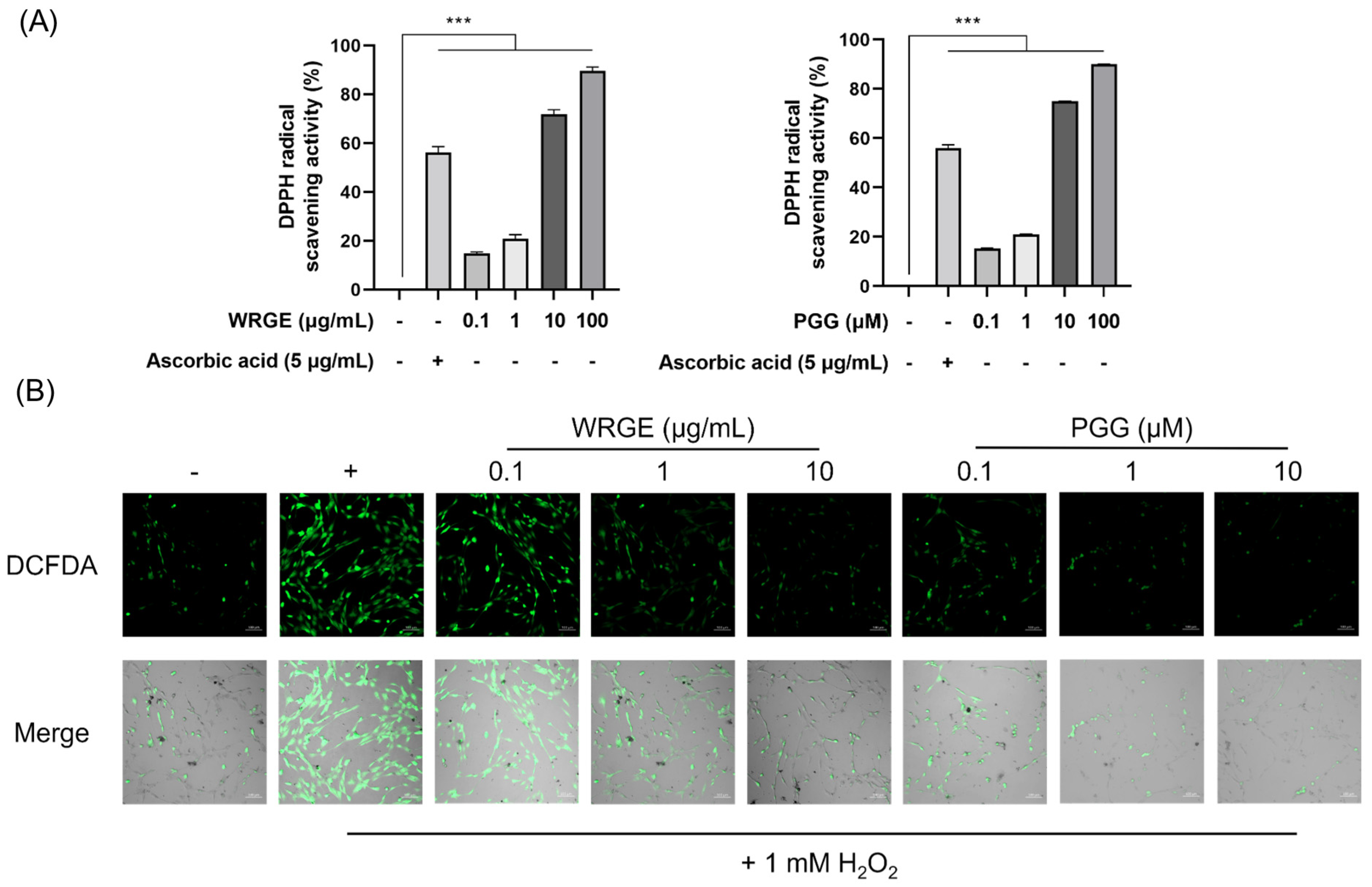 Antioxidants 14 00477 g008