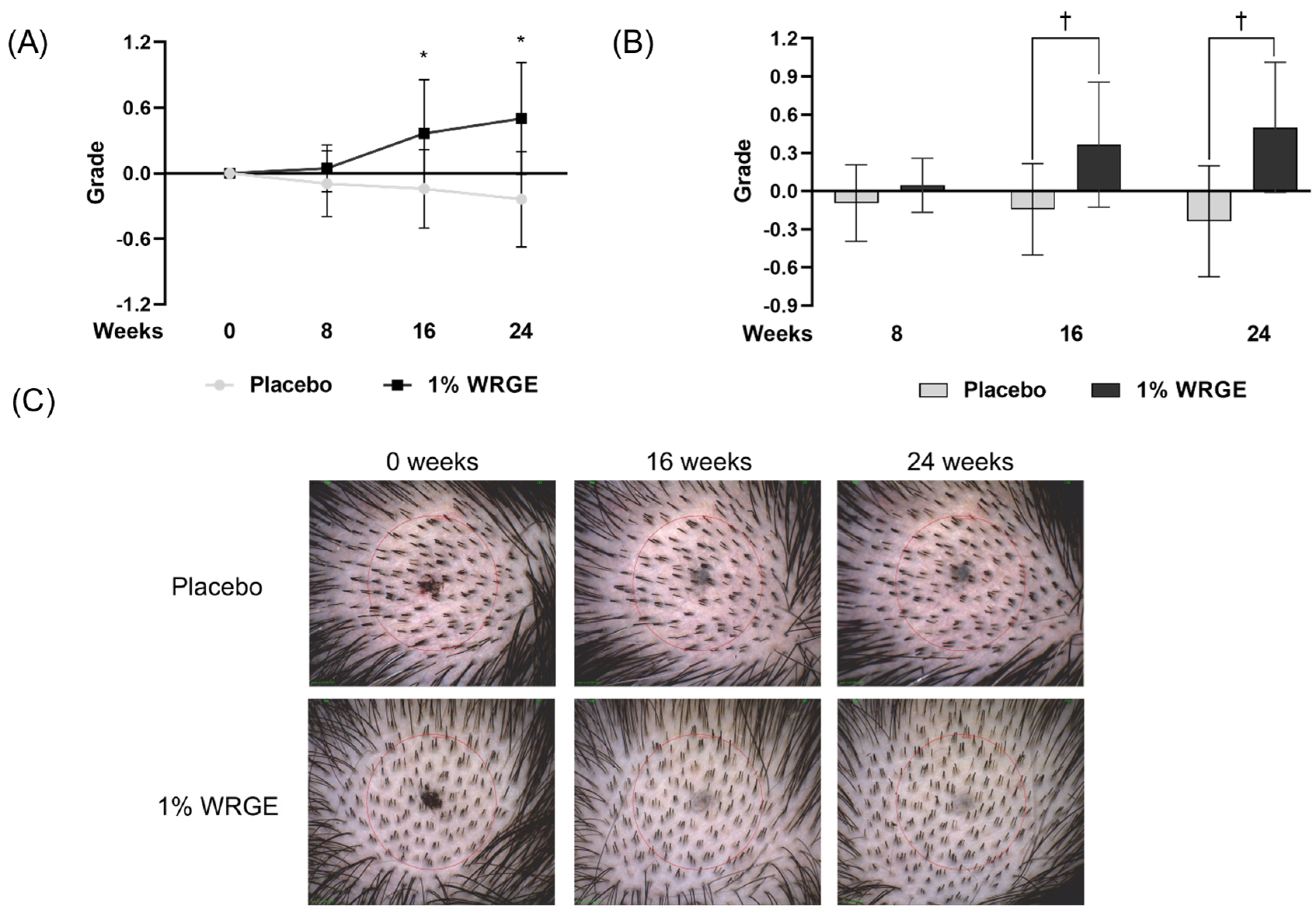 Antioxidants 14 00477 g012