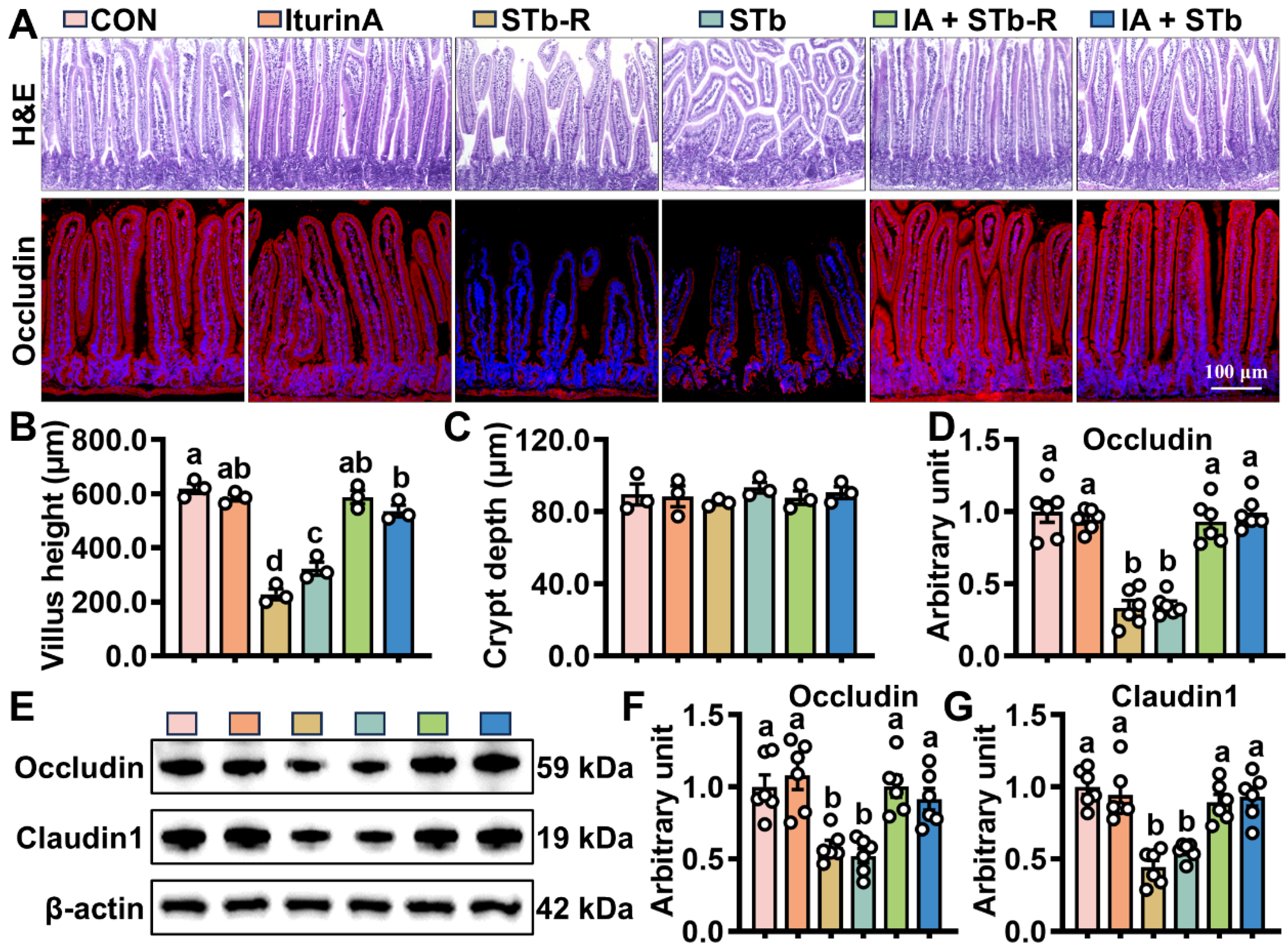 Antioxidants 14 00478 g001